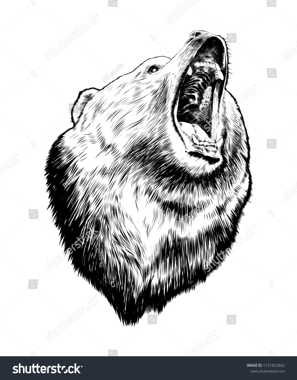 34,942 Grizzly bear Stock Vectors, Images & Vector Art | Shutterstock