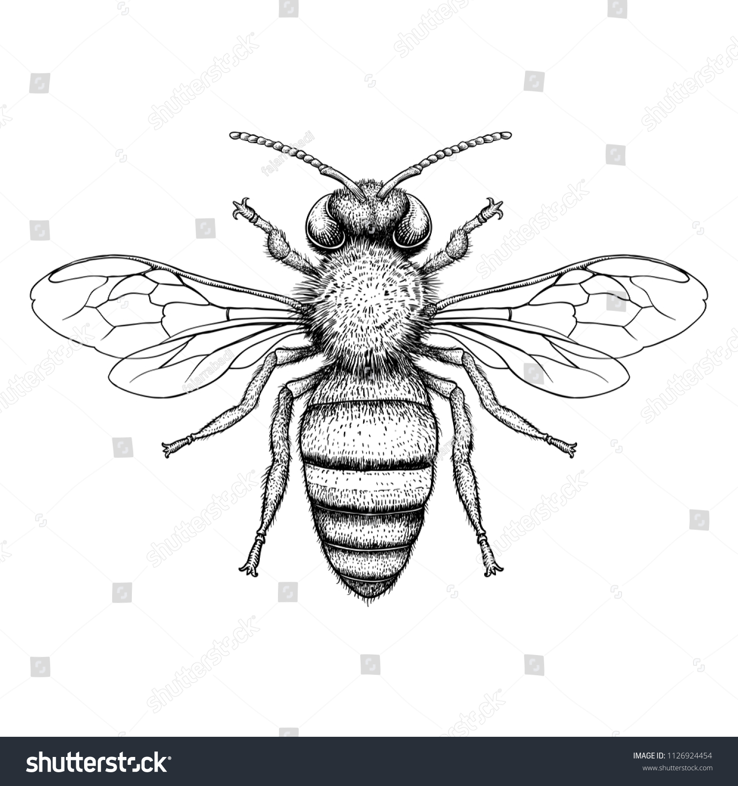 gucci bee vector