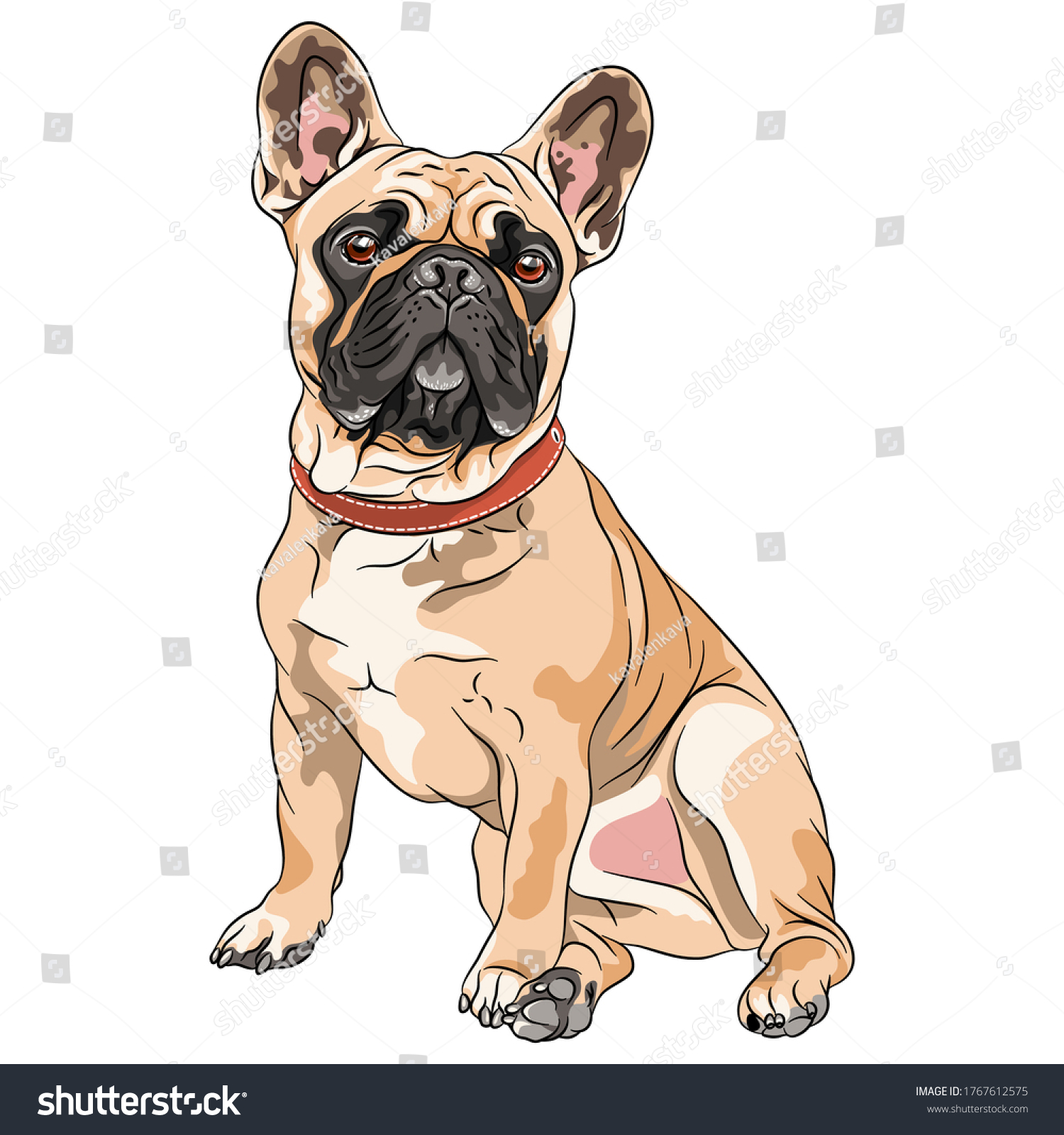 French bulldog drawing Images, Stock Photos & Vectors Shutterstock