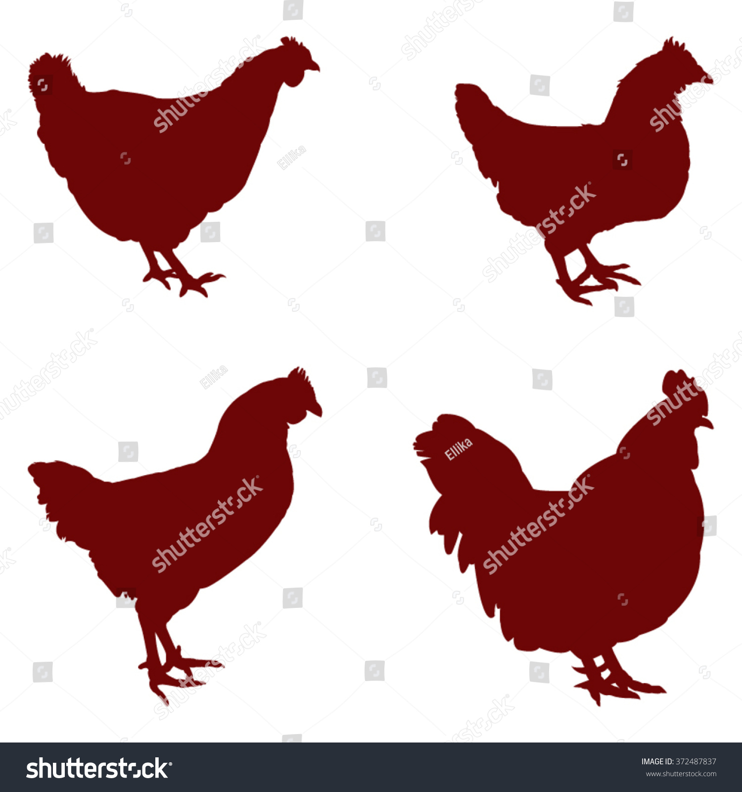 Vector File Hens Silhouette Stock Vector Royalty Free 372487837 