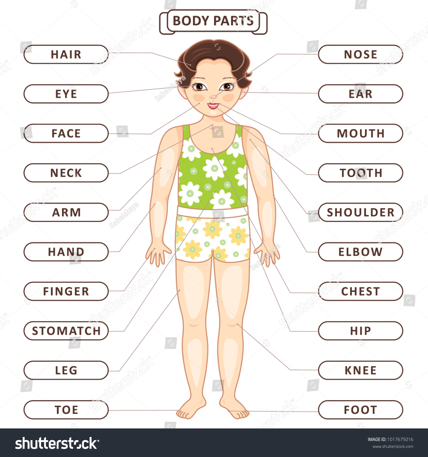 pictures of female asians body parts Back cock slut