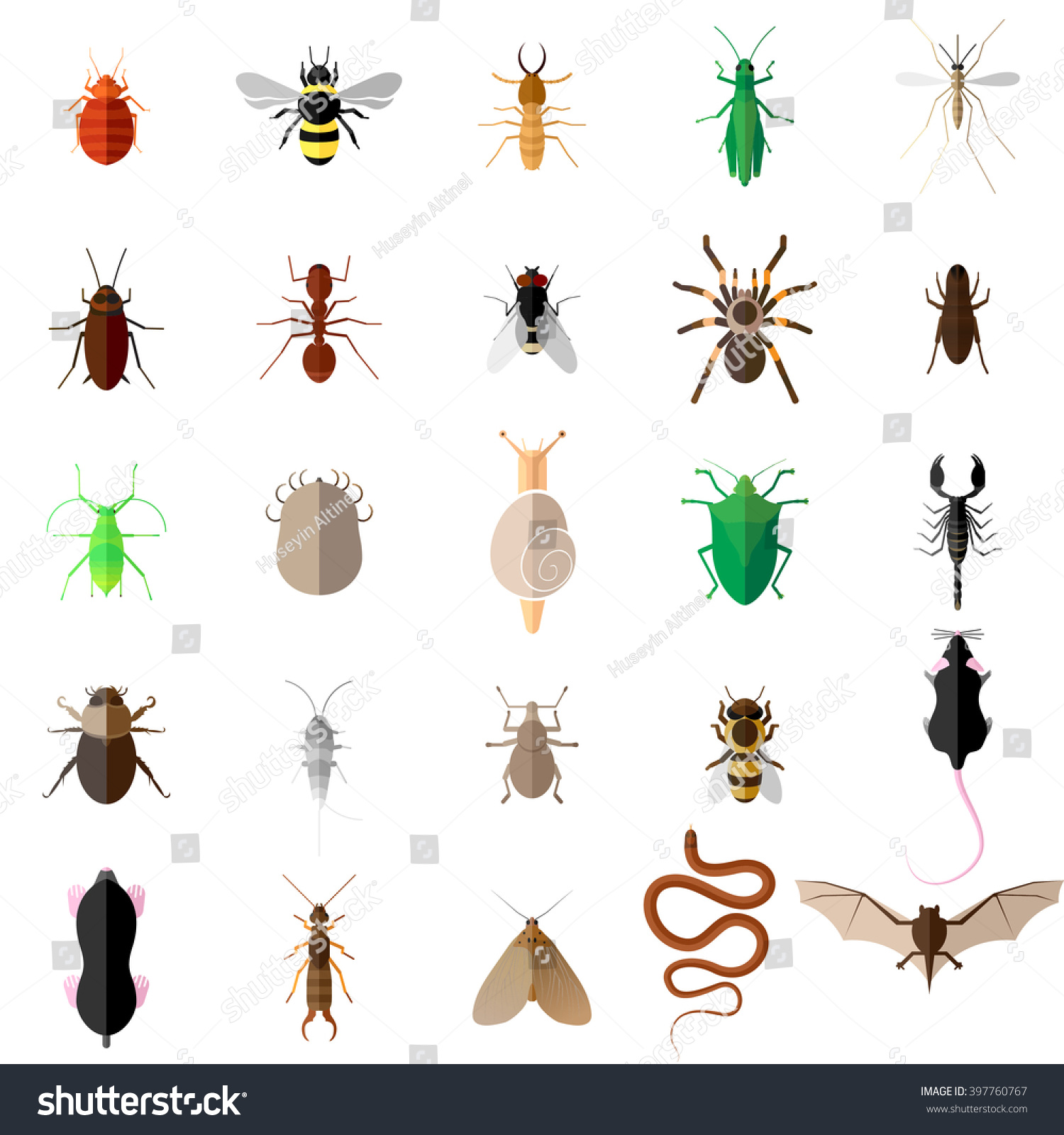 Vector Flat Bug Insect Pest Control Stock Vector (Royalty Free ...