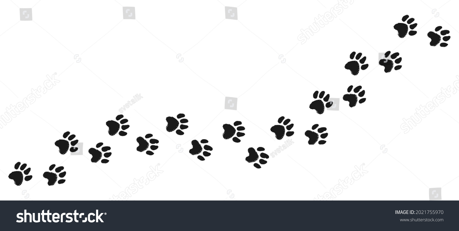 Vector Foot Trail Animal Paw Prints Stock Vector (Royalty Free) 2021755970