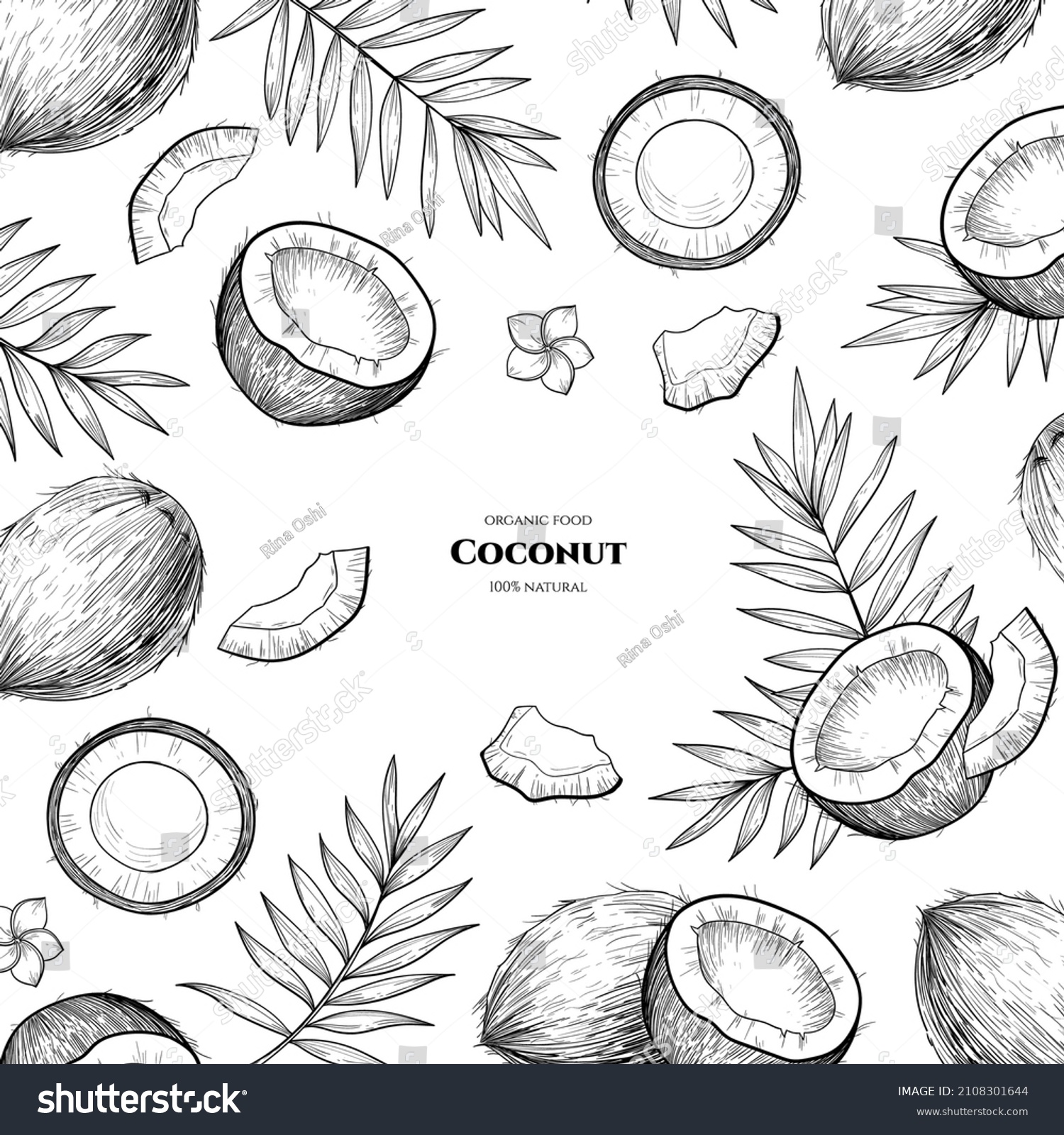 SVG of Vector frame with coconuts and tropical leaves.  Hand drawn illustrations. svg