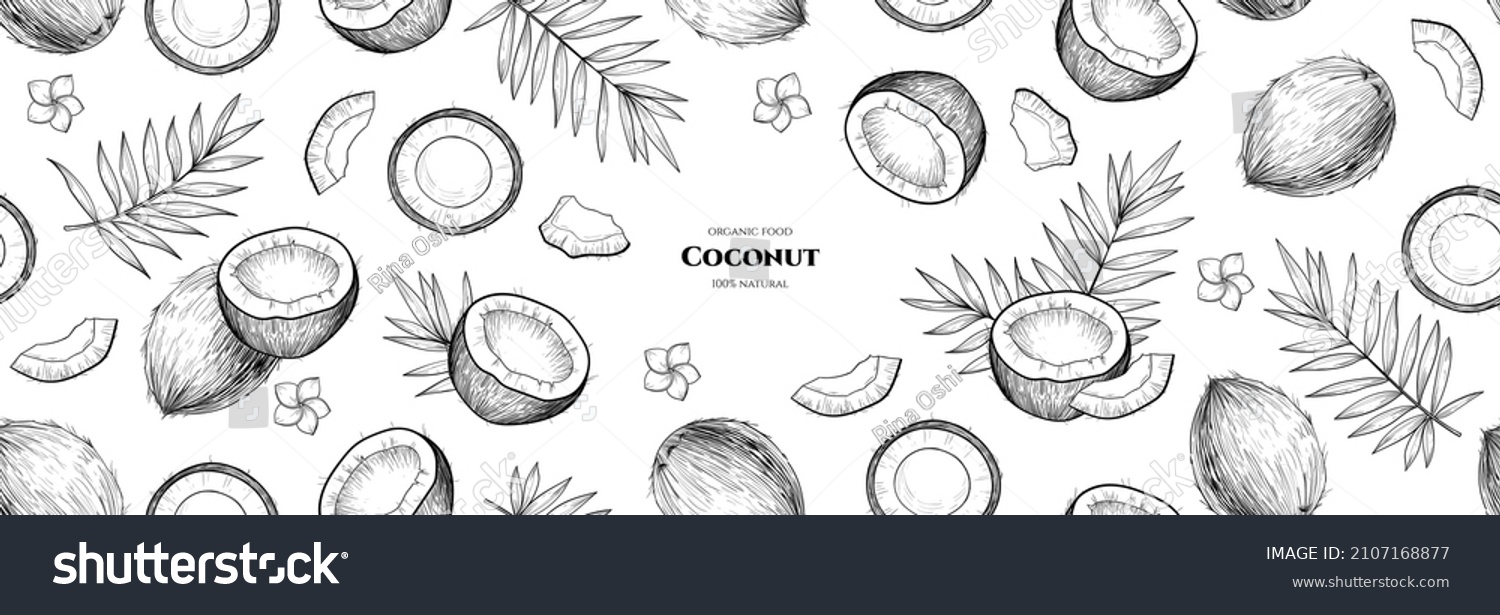 SVG of Vector frame with coconuts and tropical leaves. Vector seamless pattern. Hand drawn illustrations. svg