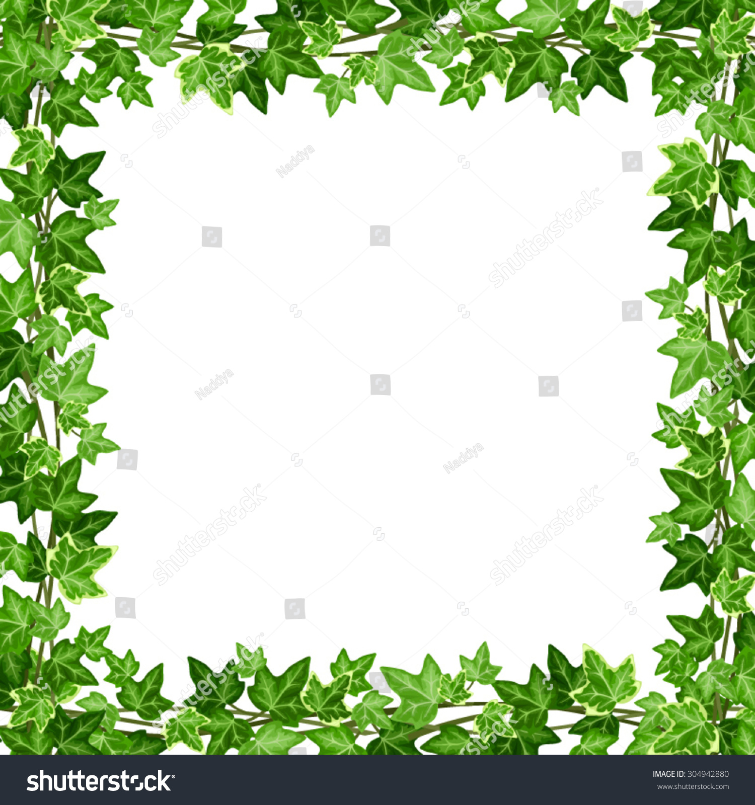 Vector Frame Green Ivy Leaves On Stock Vector 304942880 - Shutterstock