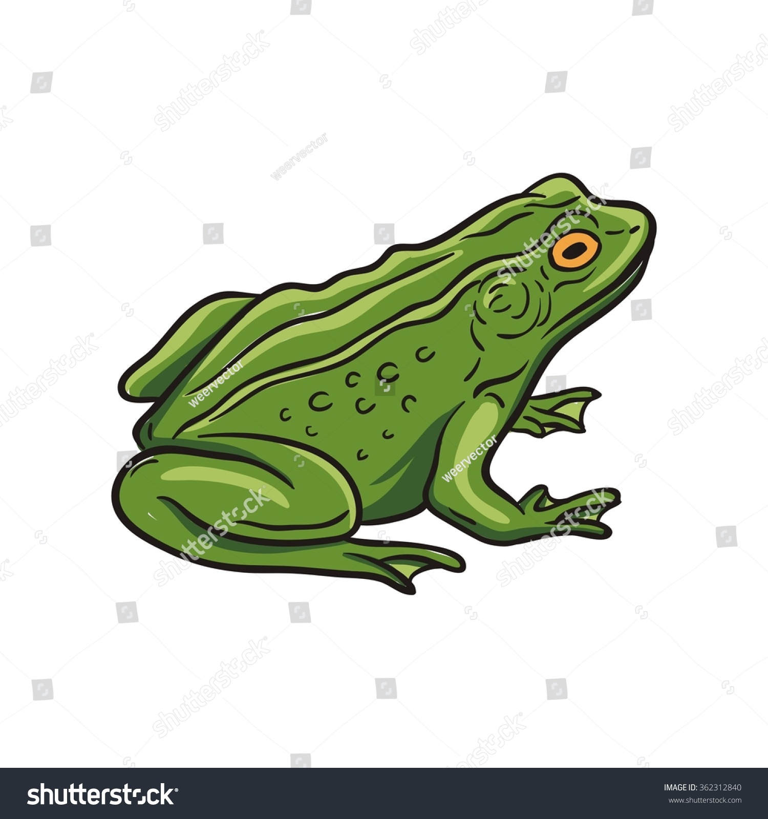 Vector Frog Stock Vector (Royalty Free) 362312840 - Shutterstock