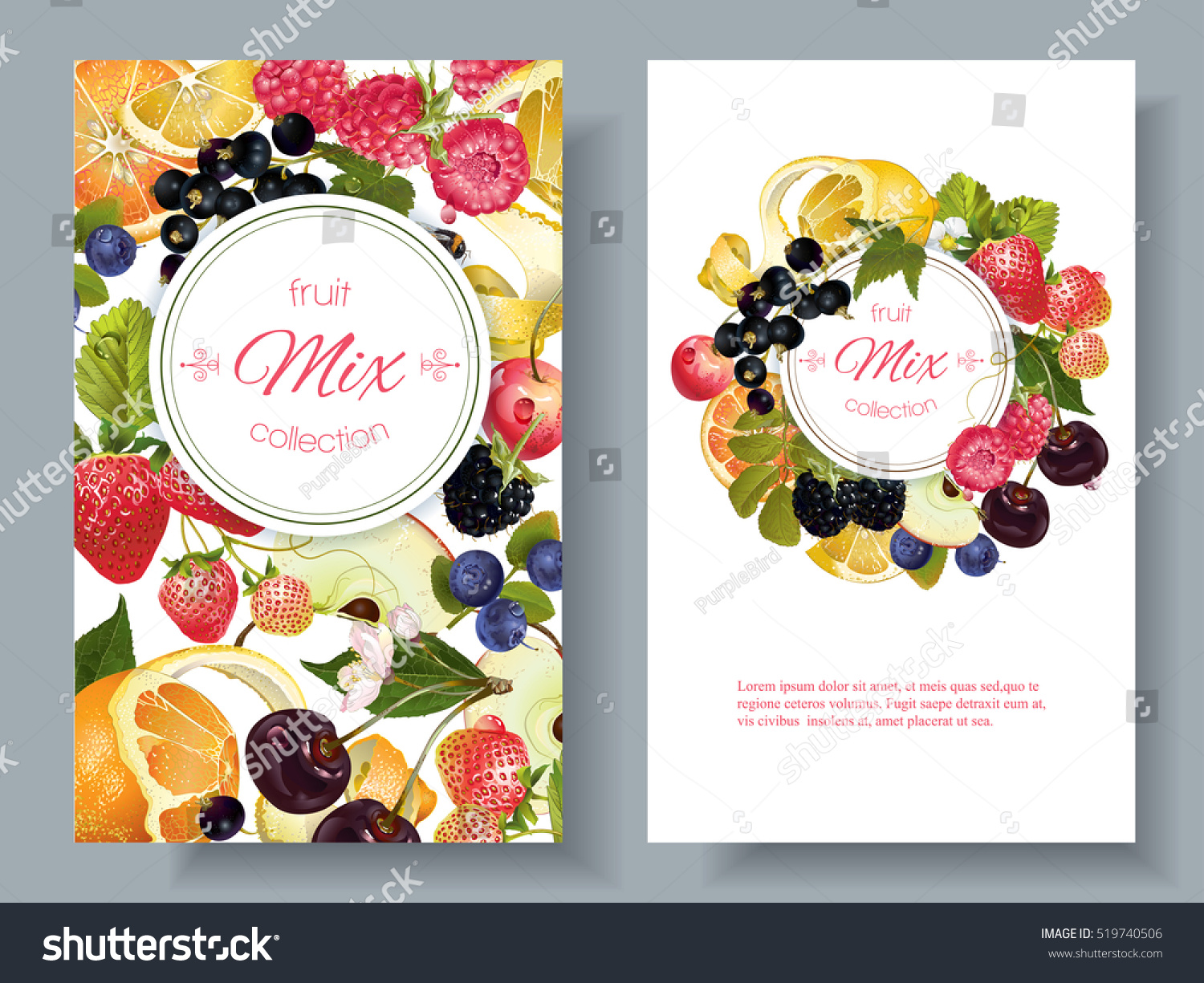 Vector Fruit Berry Banners Design Juice Stock Vector (Royalty Free ...