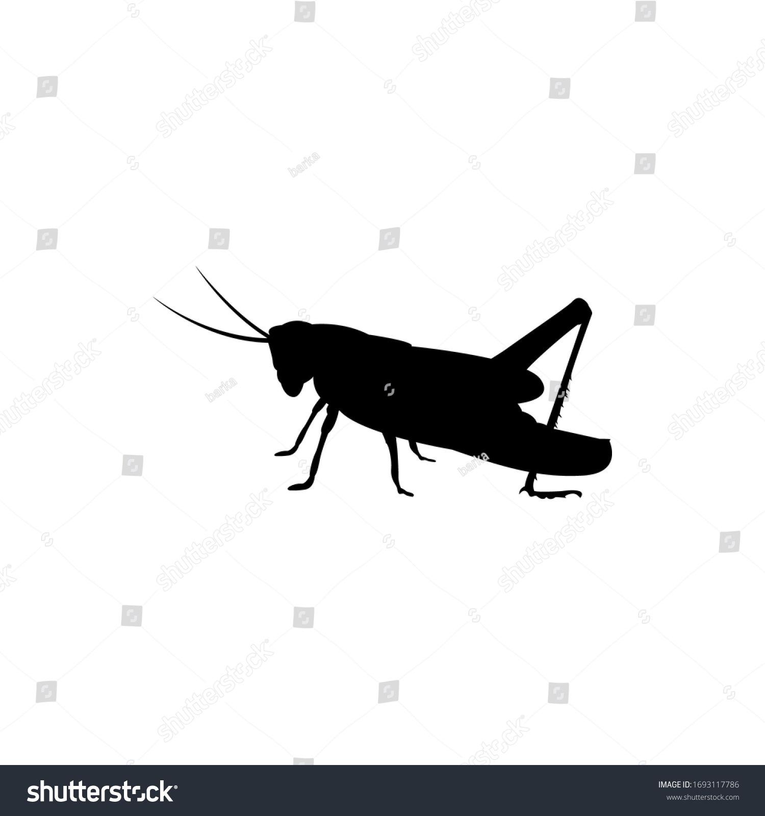 recommend clip art: vector grasshopper illustration. grasshopper silhouette