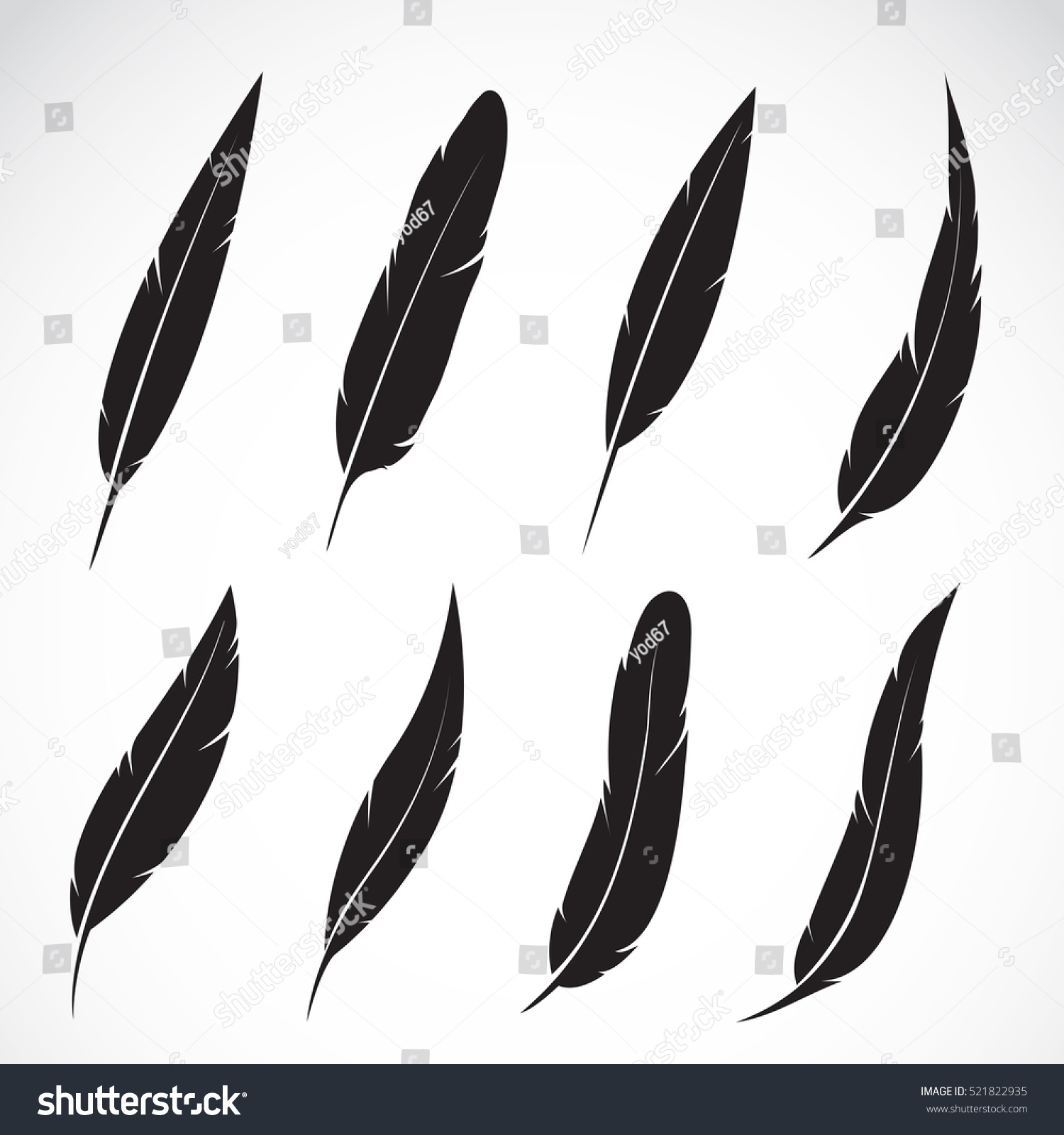 feather of symbol white Icon. feather group symbol white background. in on Vector of Feathers