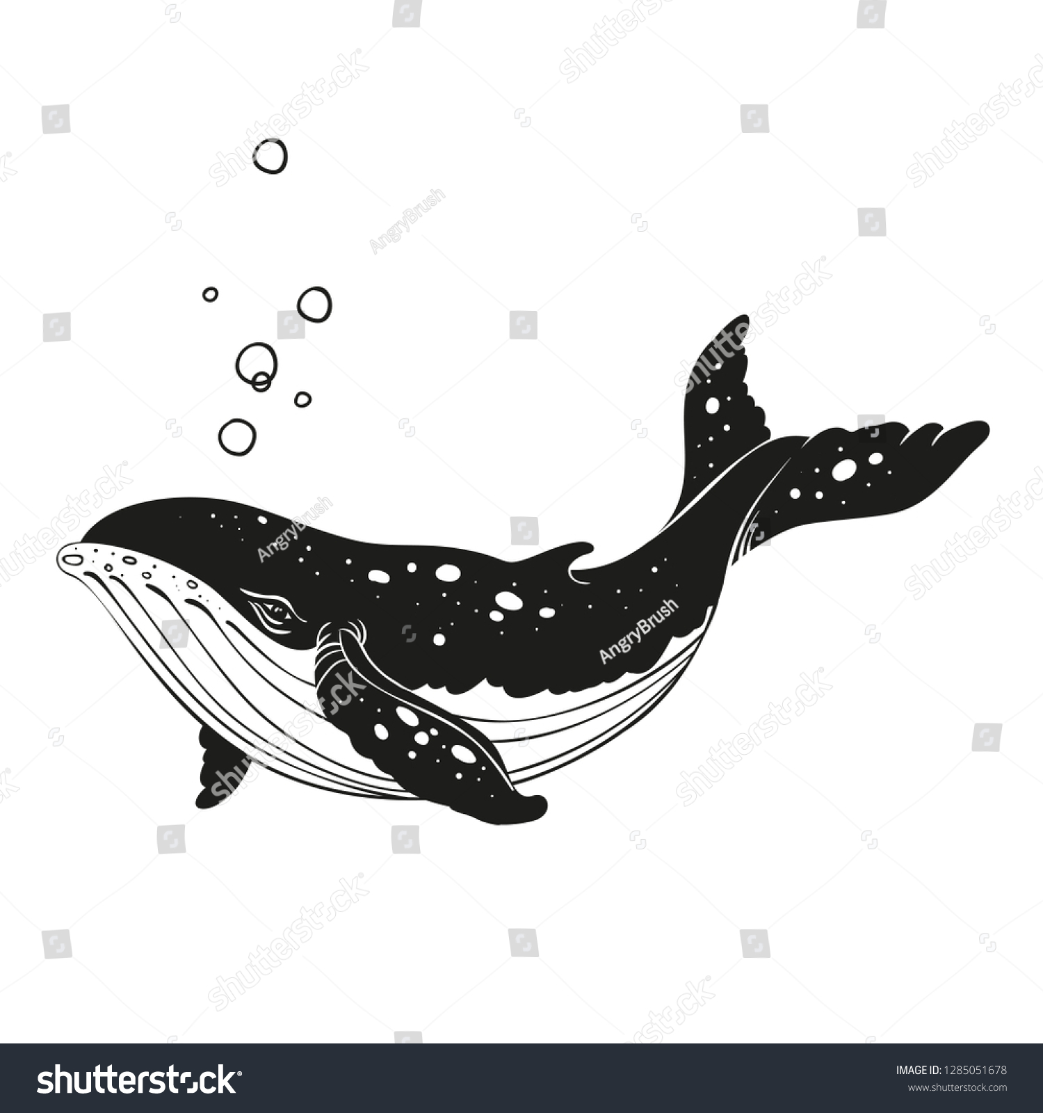 Image Vectorielle Baleine Noire Et Blanche Image Vectorielle De Stock Libre De Droits