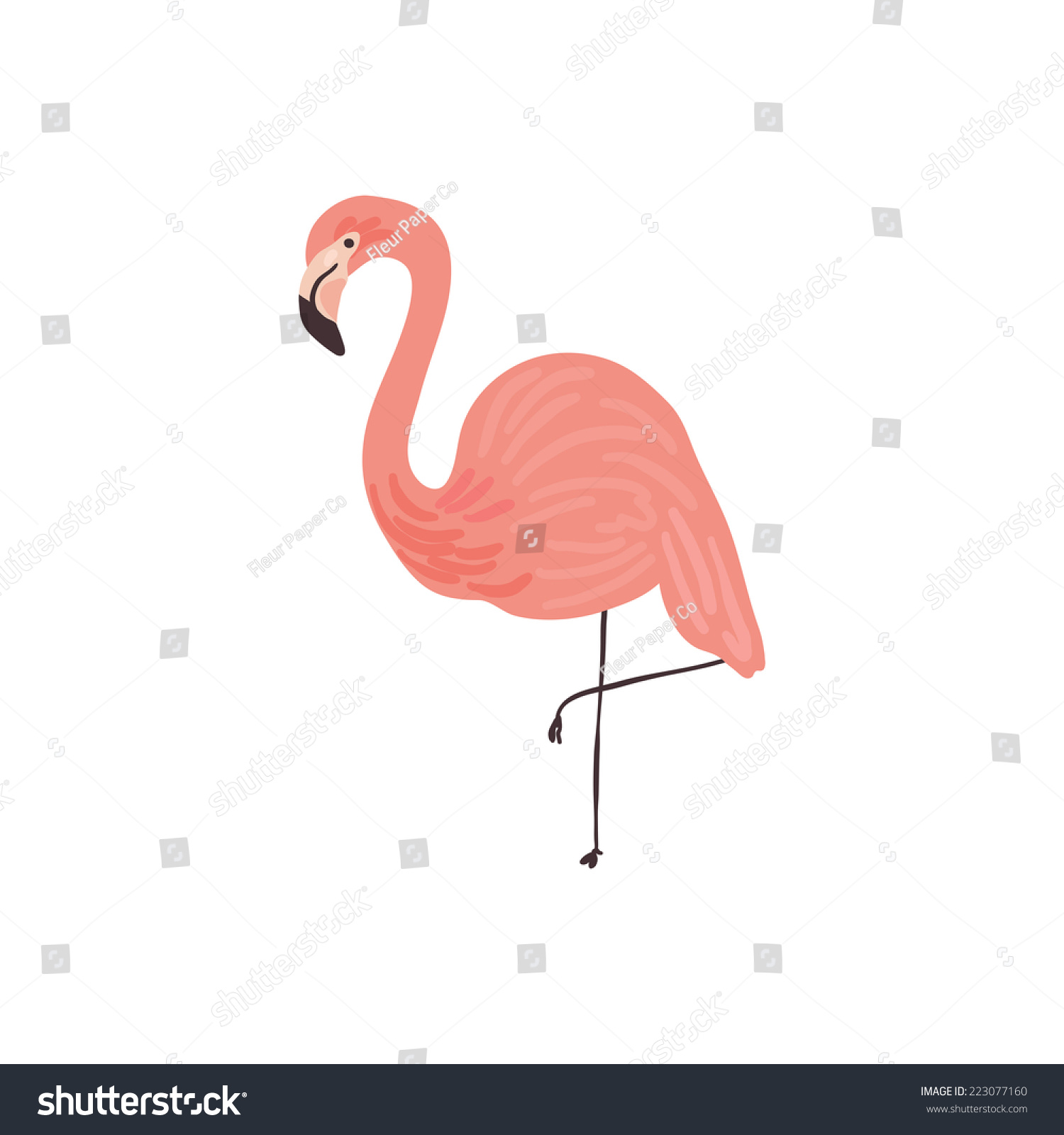 Vector Hand Drawn Illustration Flamingo Stock Vector 223077160