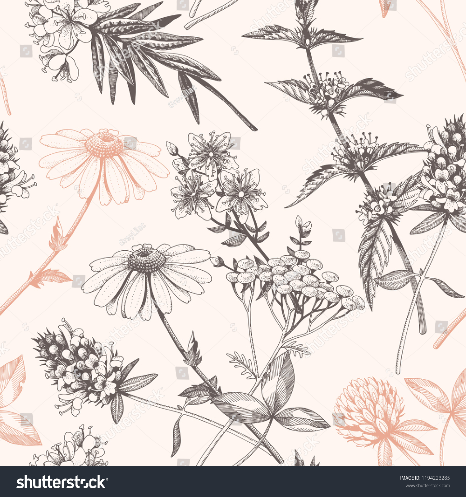 Vector Hand Drawn Meadow Flowers Seamless Stock Vector Royalty Free 1194223285