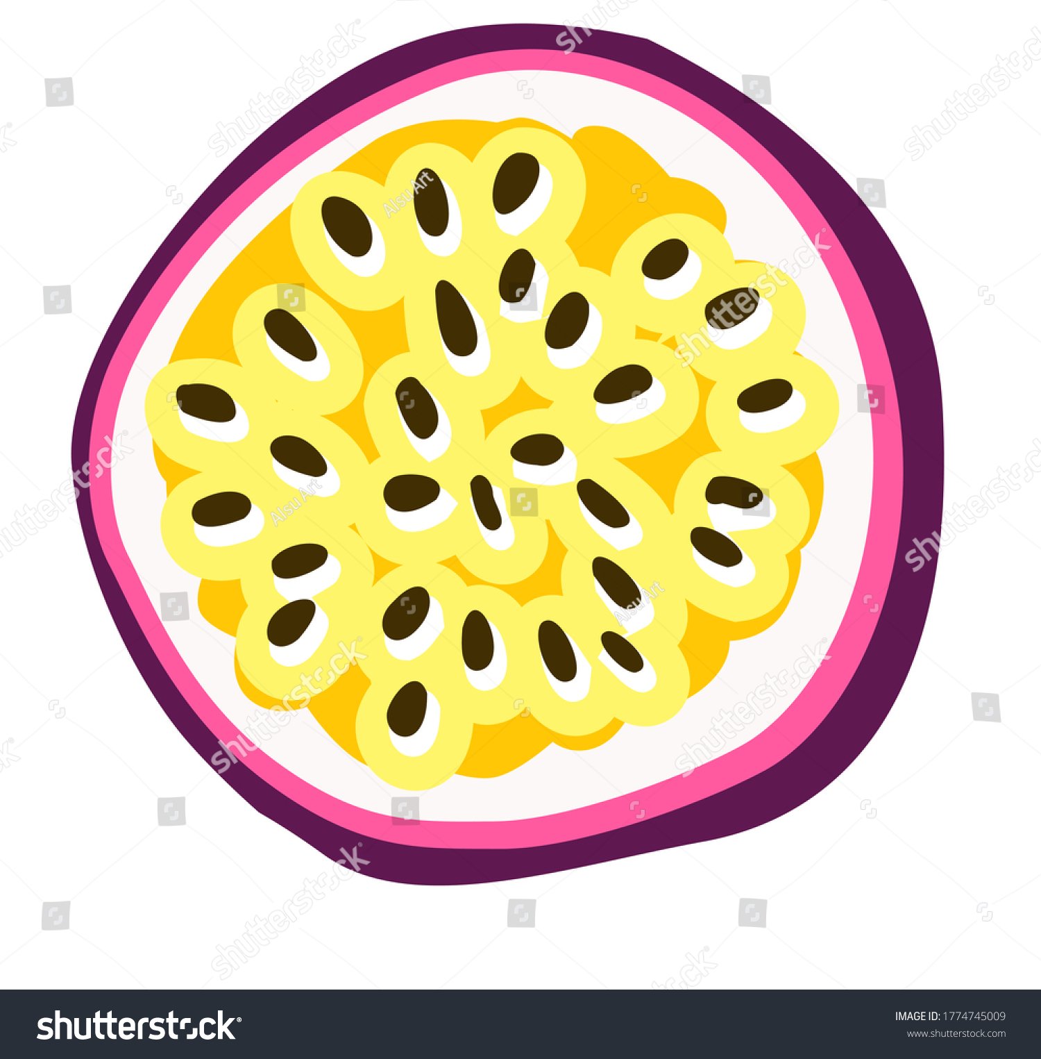 Vector Hand Drawn Passion Fruit Isolated Stock Vector Royalty Free