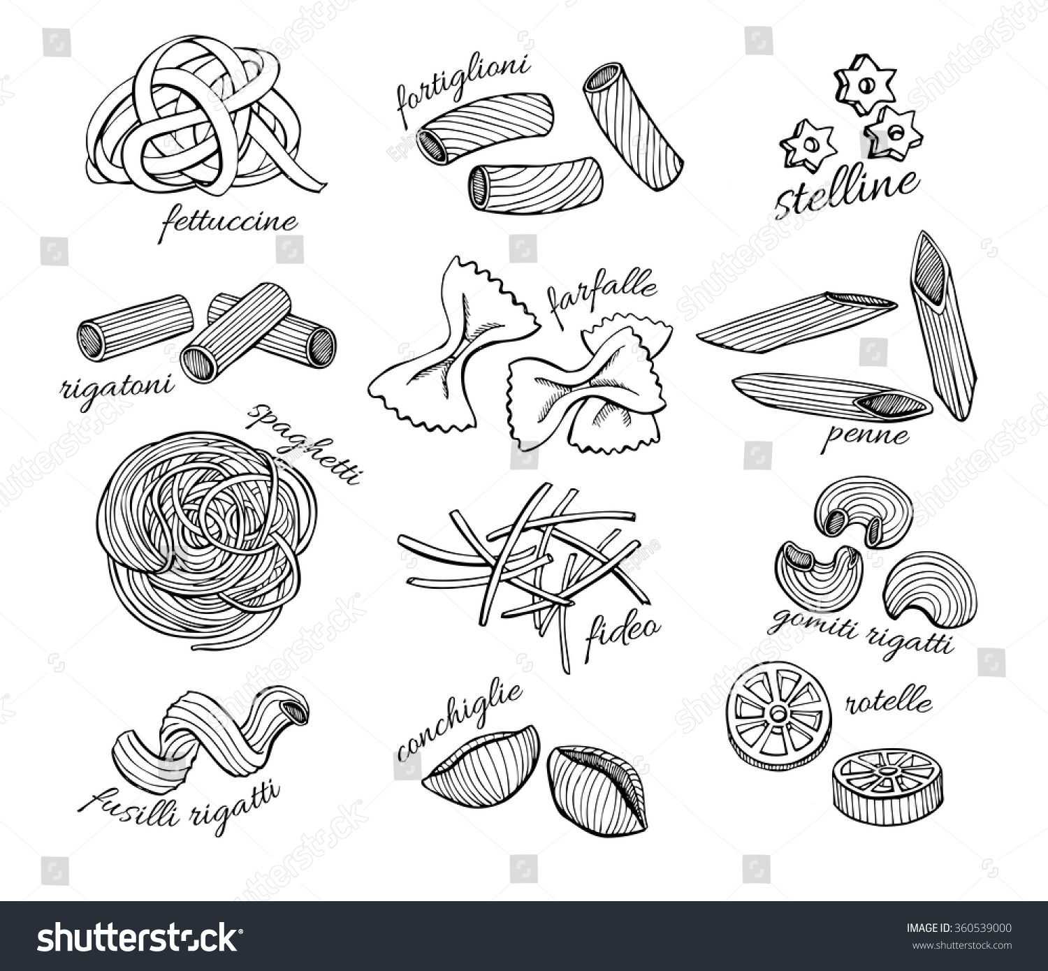 Vector Hand Drawn Pasta Set. Vintage Line Art Illustration. - 360539000 ...