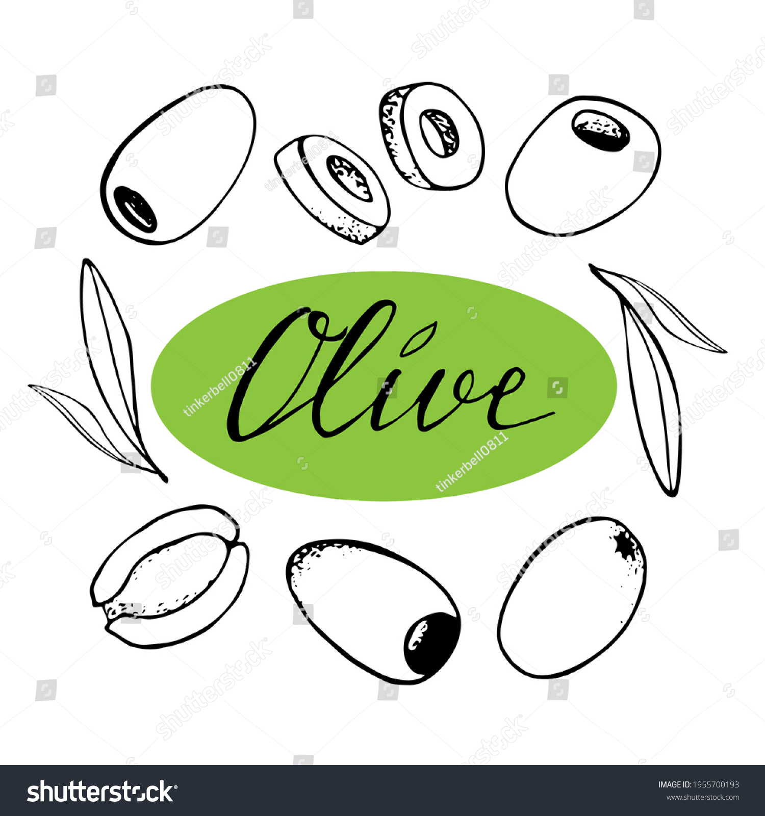 Vector Handdrawn Set Olives Black Contour Stock Vector Royalty Free 1955700193 