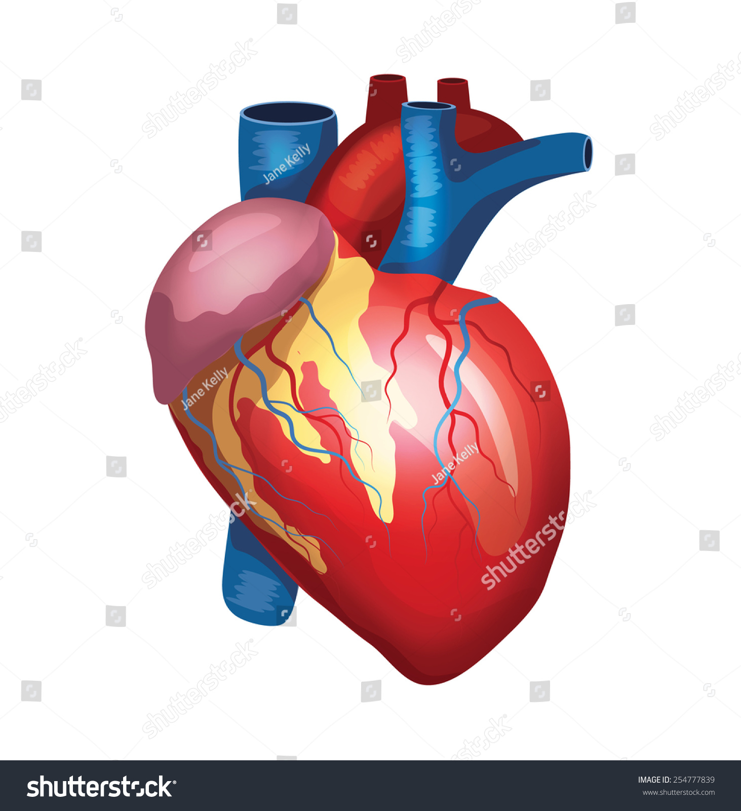 Vector Heart Illustration - 254777839 : Shutterstock