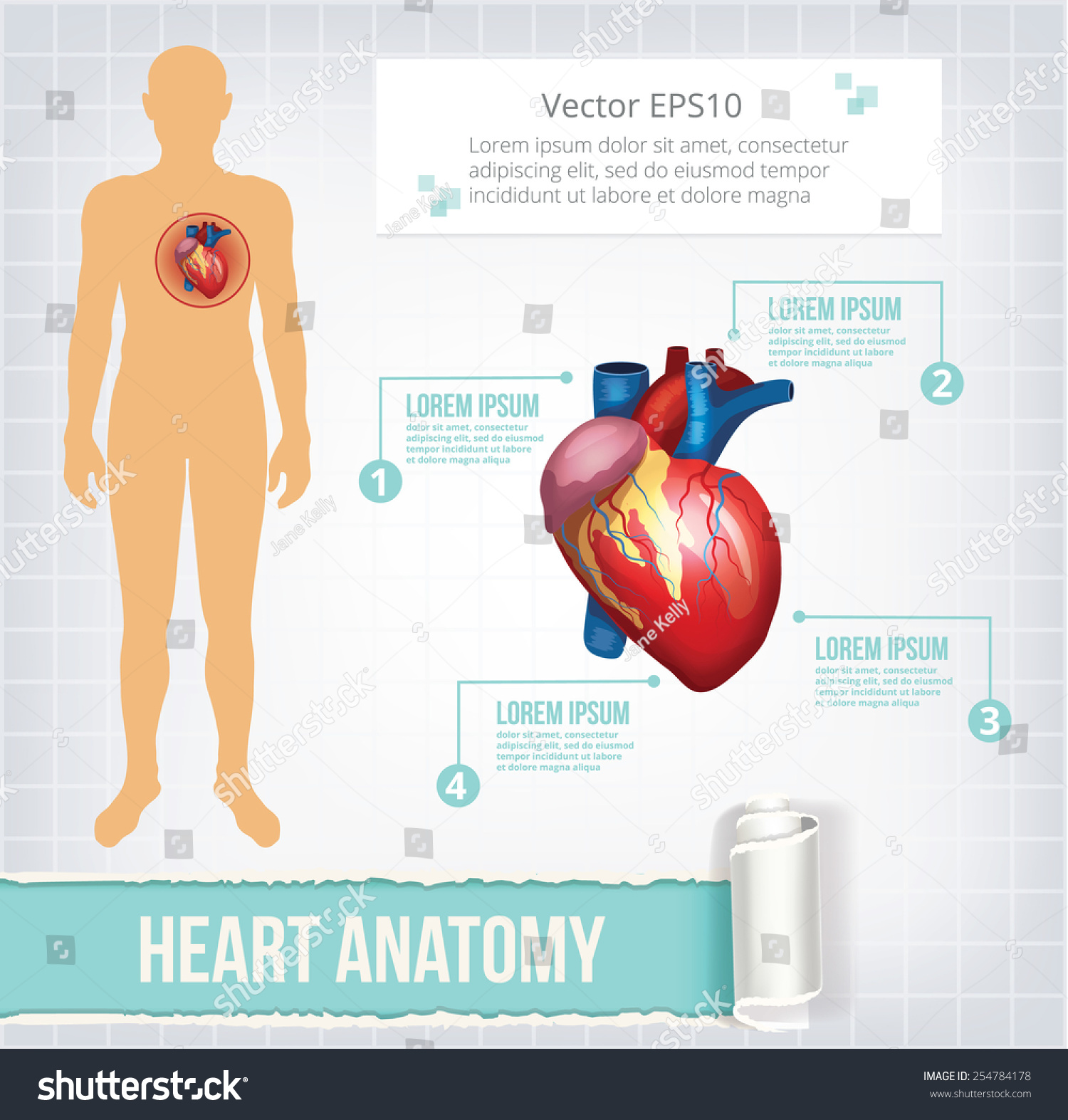 Vector Heart Infographics Banner Illustration - 254784178 : Shutterstock