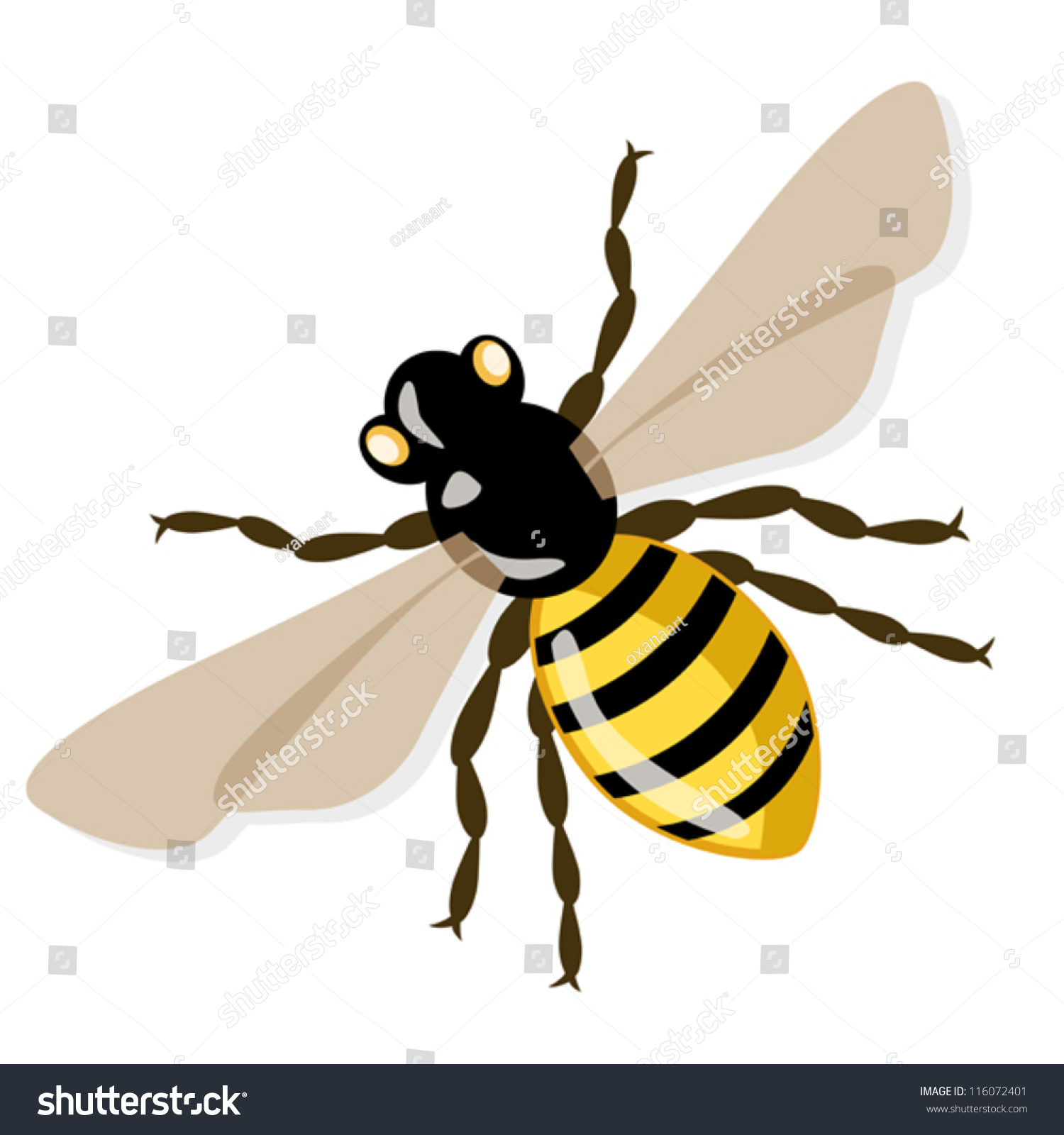 Vector Honey Bee Illustration Stock Vector Royalty Free 116072401 Shutterstock 2415