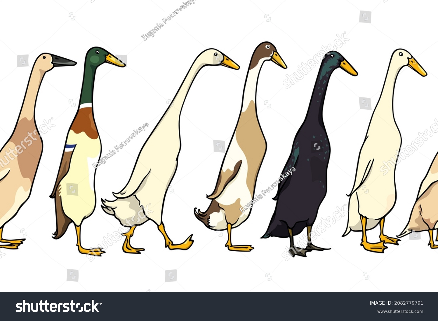 SVG of Vector horizontal seamless pattern with hand drawn various Indian Runner ducks. Ink drawing, beautiful farm products design elements. Perfect for prints and patterns svg