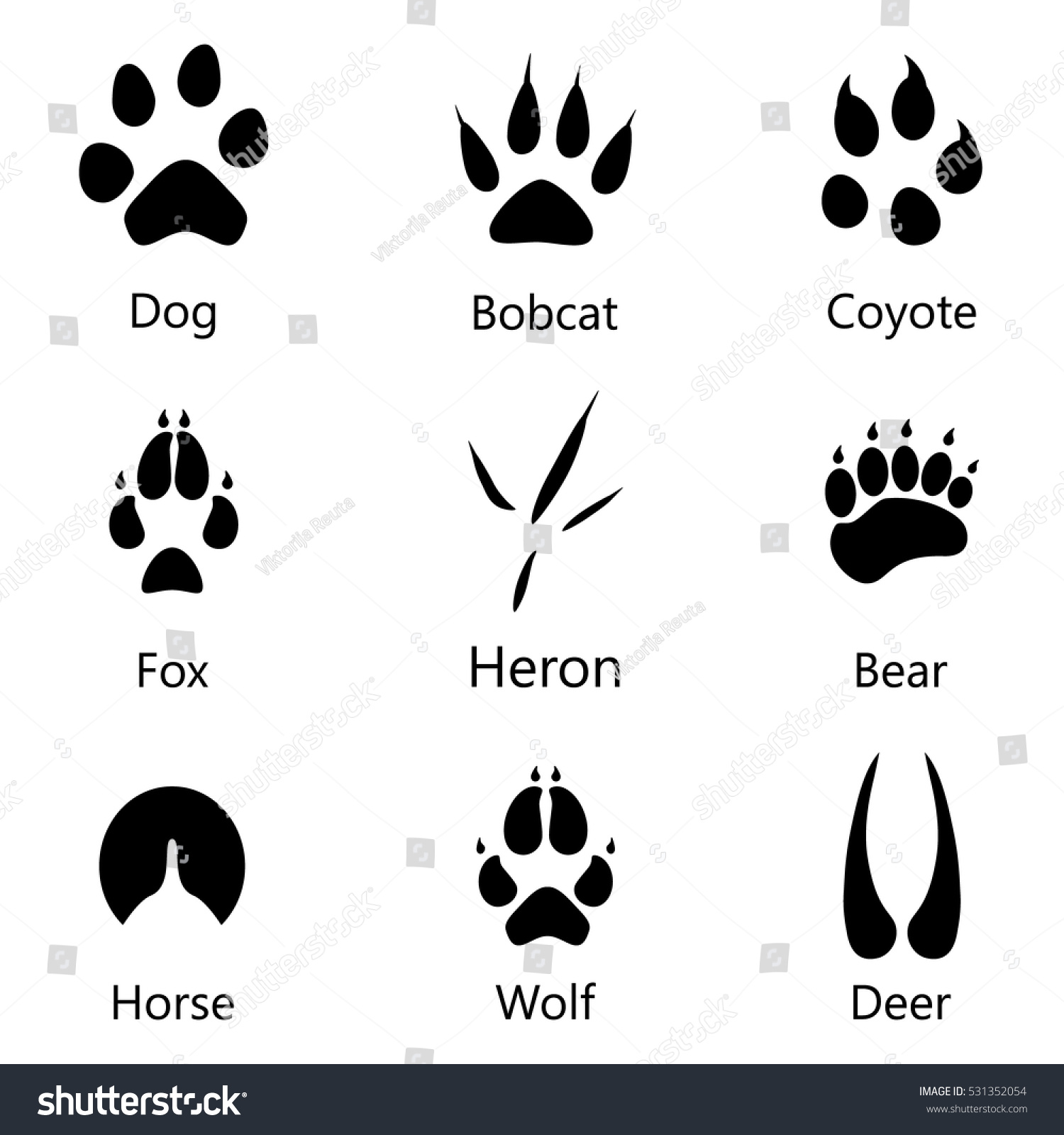 1,233 Wild horse hoof prints Images, Stock Photos & Vectors | Shutterstock