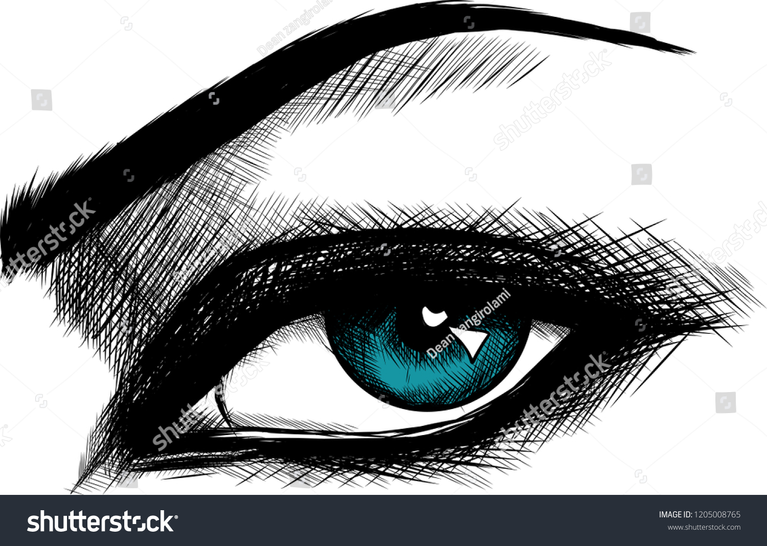 Vector Illustration Beautiful Women Eyes Make Stock Vector Royalty Free 1205008765 Shutterstock 9102