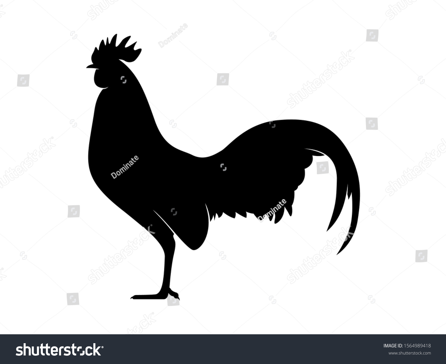 ベクターイラスト 鶏の黒いシルエットデザイン 白い背景に雄の鶏 のベクター画像素材 ロイヤリティフリー