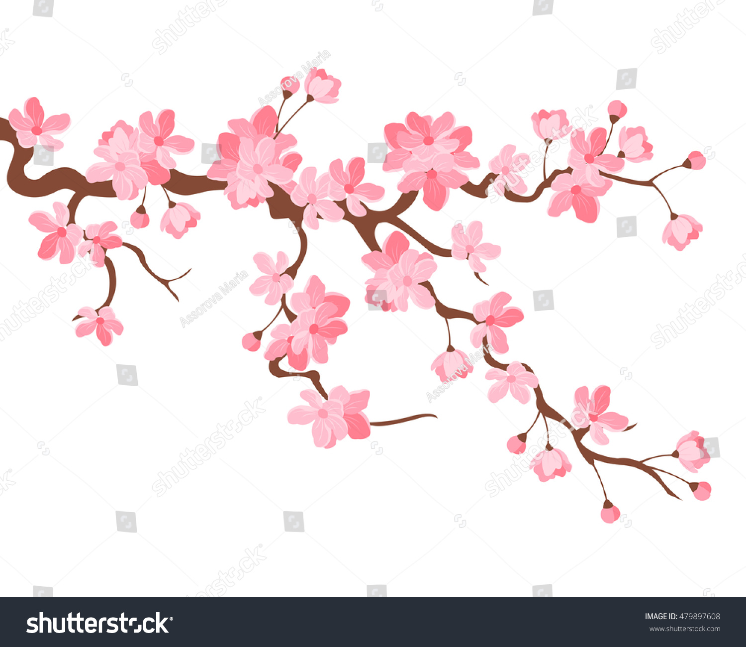 Vector Illustration Branch Japanese Cherry Blossoms Stock Vector ...