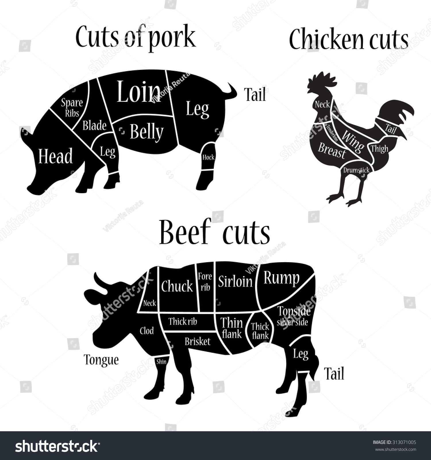 Vector Illustration Chicken Cow Pork Cuts Stock Vector 313071005 ... for Chicken Meat Cuts Chart
565ane Vector Illustration Chicken Cow Pork Cuts Stock Vector 313071005 ... for Chicken Meat Cuts Chart
565ane