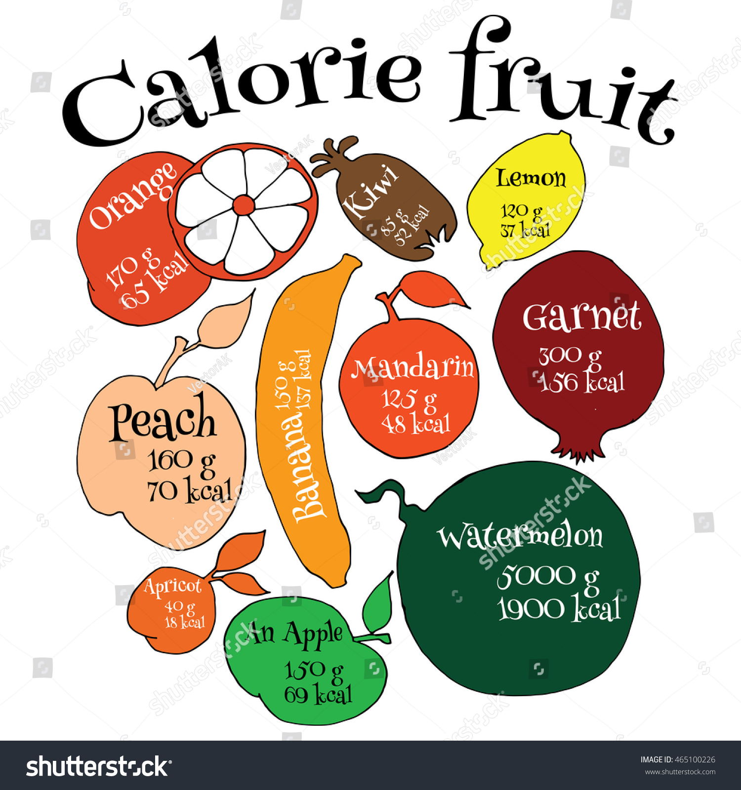 Vector Illustration. Description Of Each Calorie Fruit. Hand Drawn