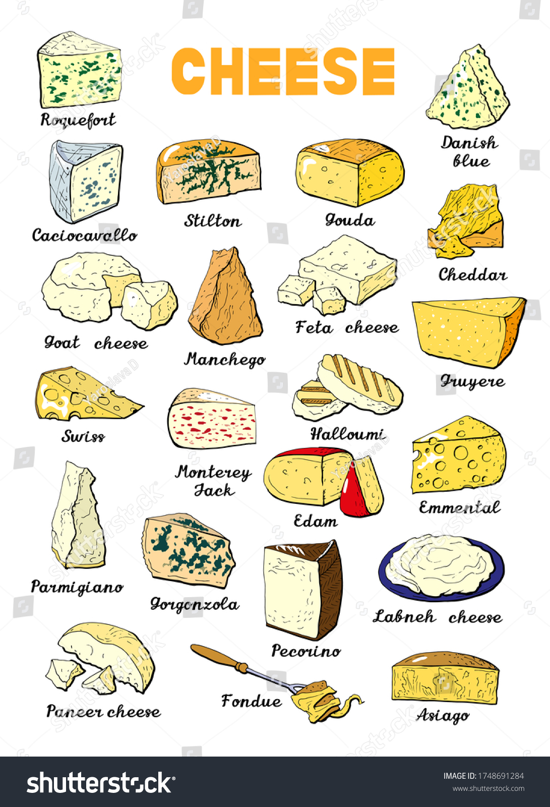 Of cheese types 31 Types