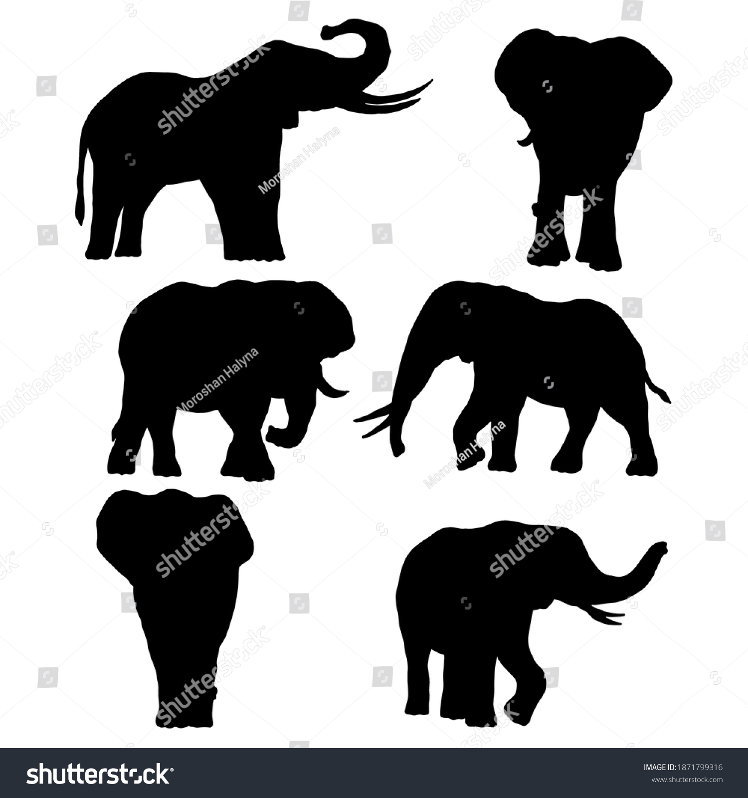 Vector Illustration Elephant Set Drawings Template Stock Vector ...