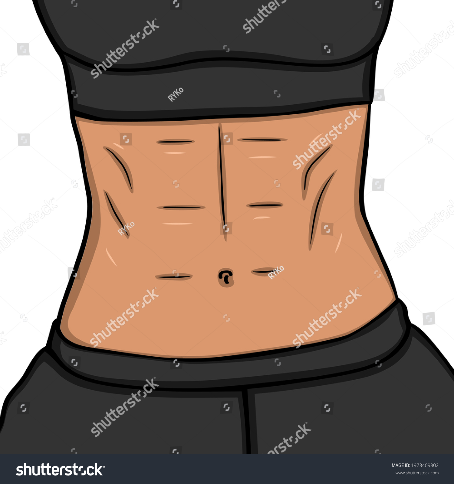 Vector Illustration Female Abdominal Muscles Isolated Stock Vector