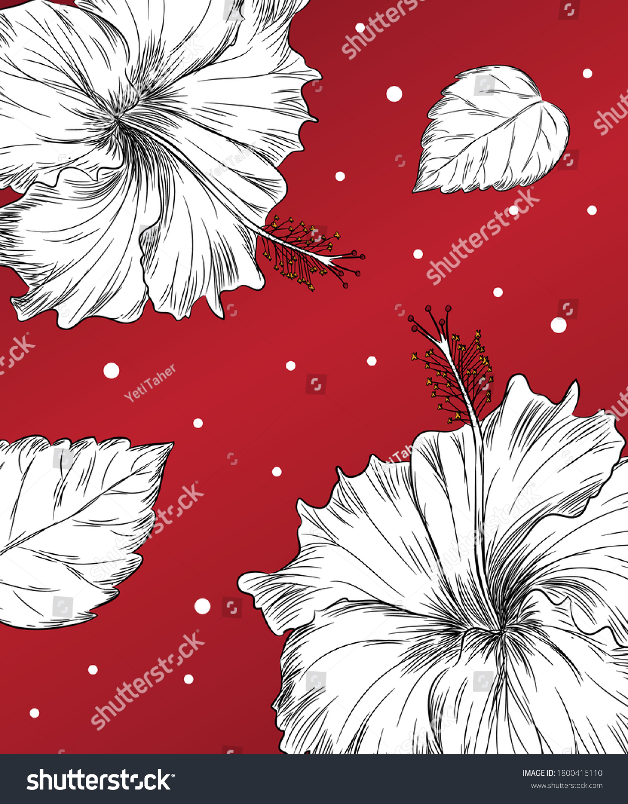 Vector Illustration Hibiscus Flower Outline Drawing Stock Vector Royalty Free