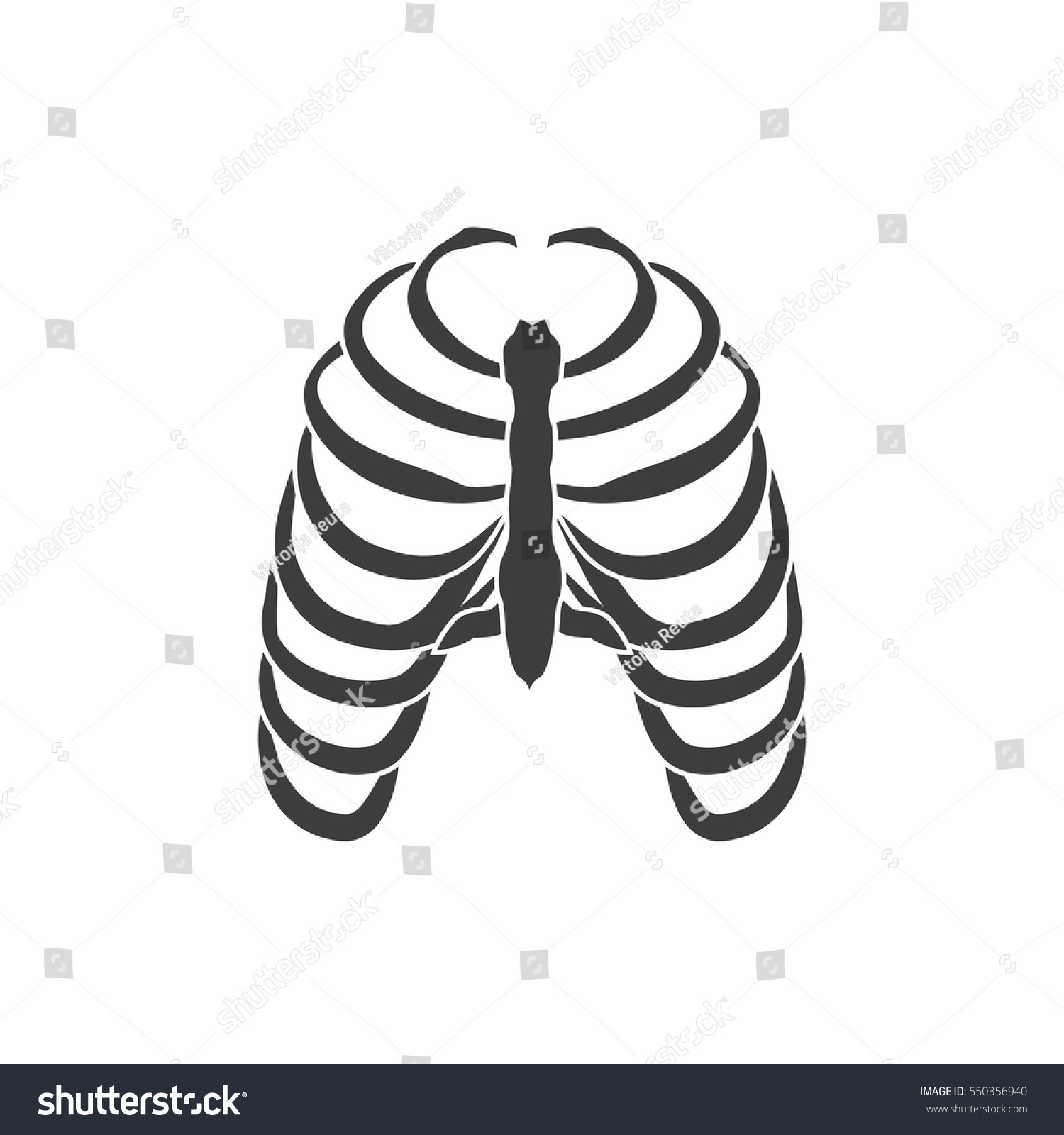 Vector Illustration Human Ribs Cage Symbol Isolated On White Background ...