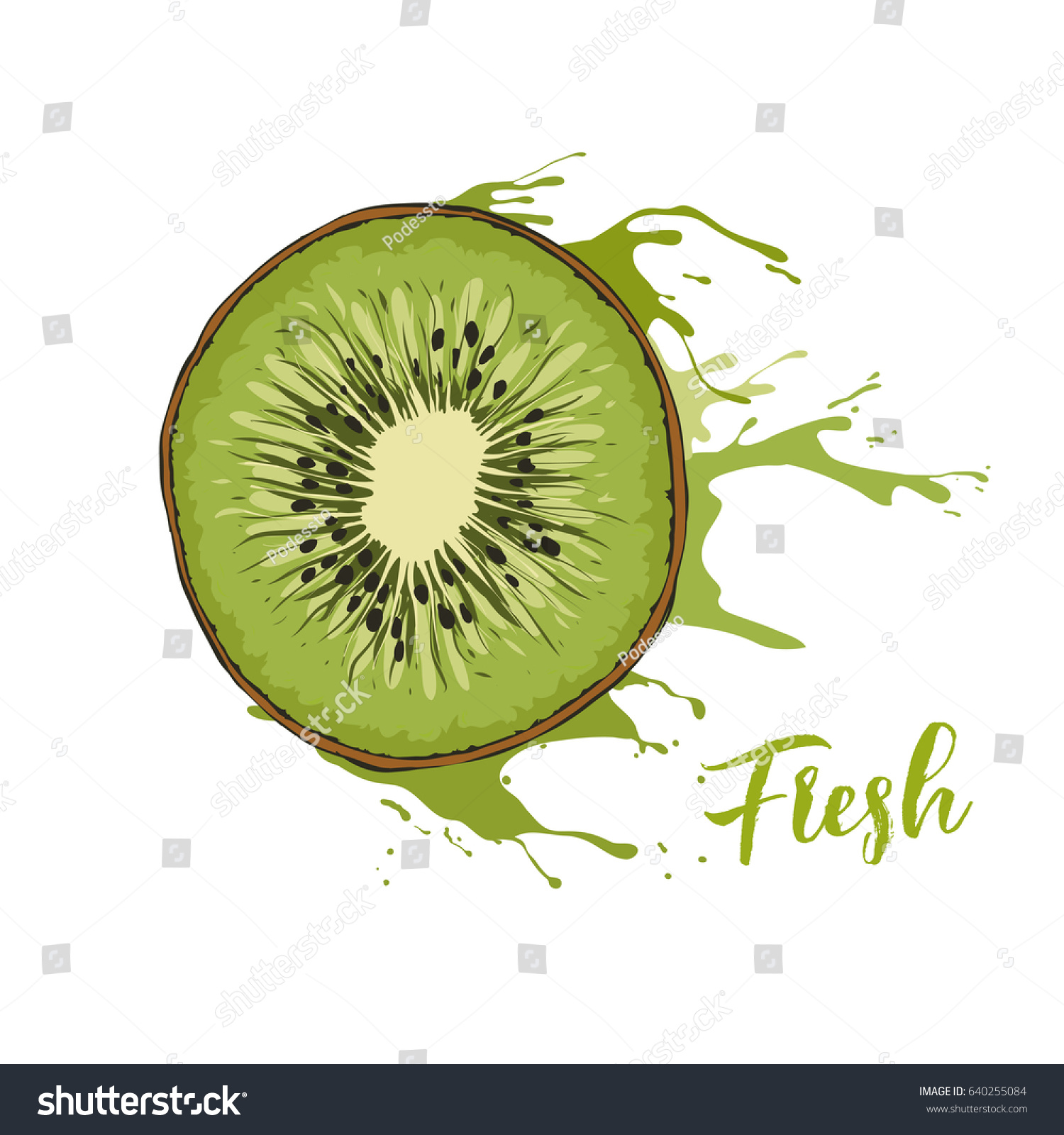 Vector Illustration Kiwi Fruit Slice Drawing Stock Vector 640255084