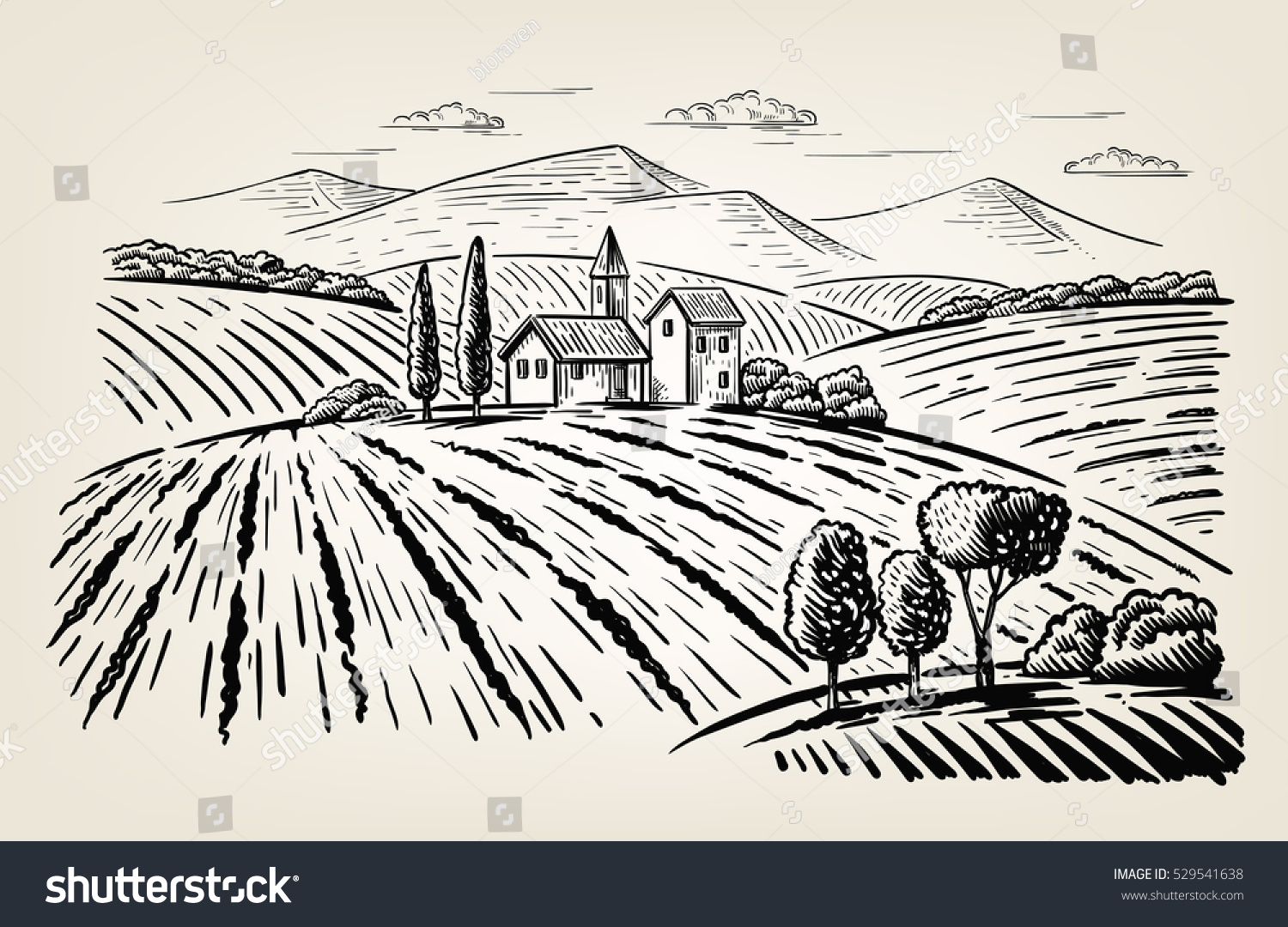 Vector Illustration Landscape Nature Agrarian Fields Stock Vector ...