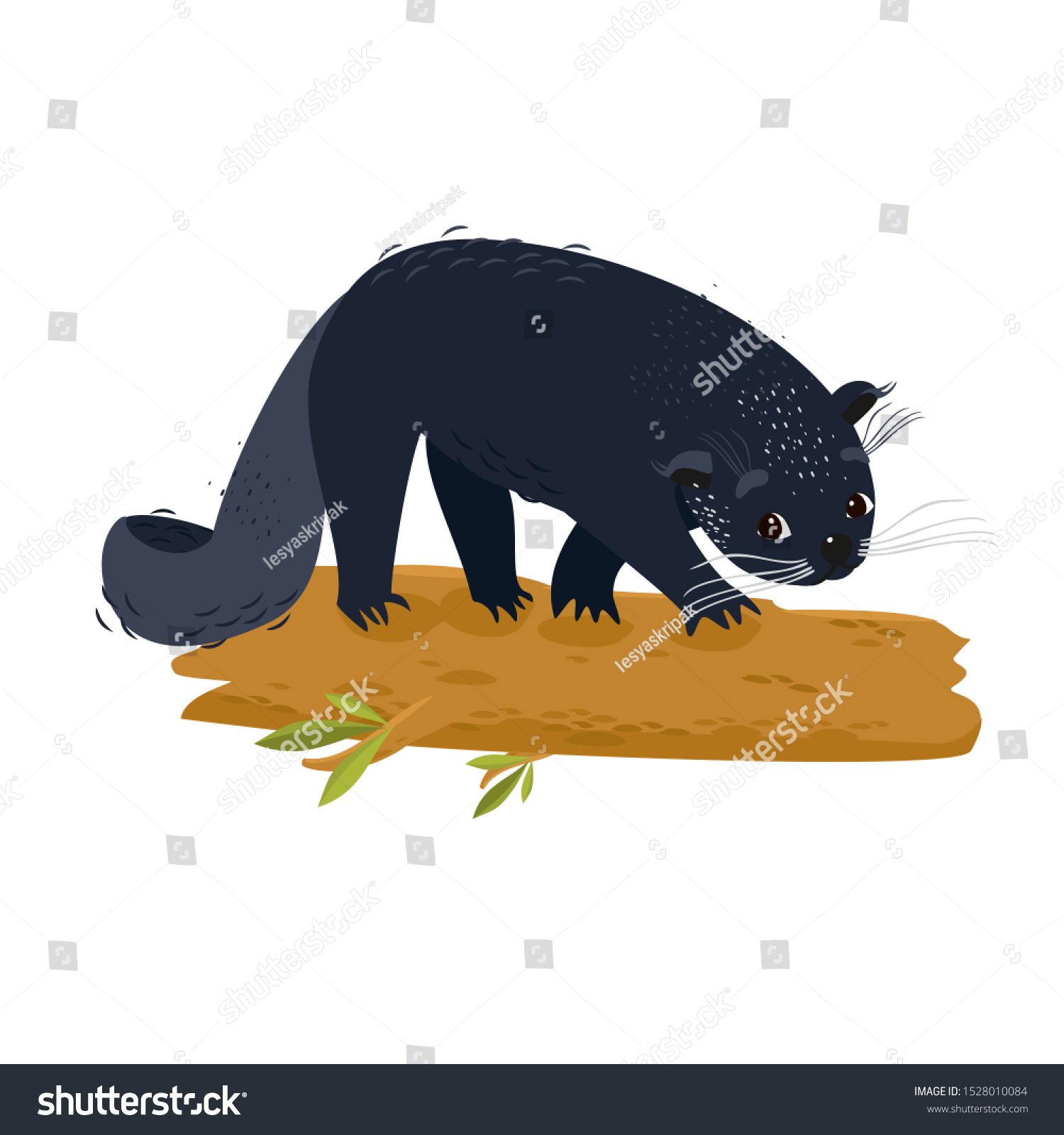 SVG of Vector illustration of a binturong. Bear cat. svg
