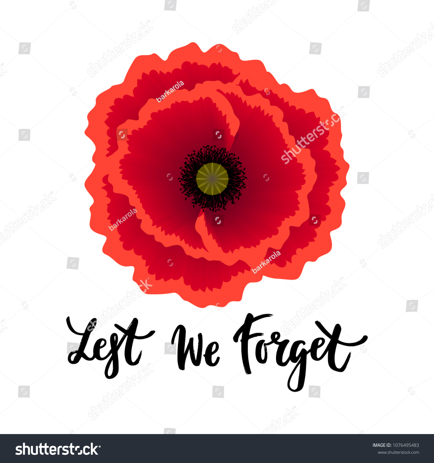 Vector Illustration Bright Realistic Poppy Flower Stock Vector (Royalty ...