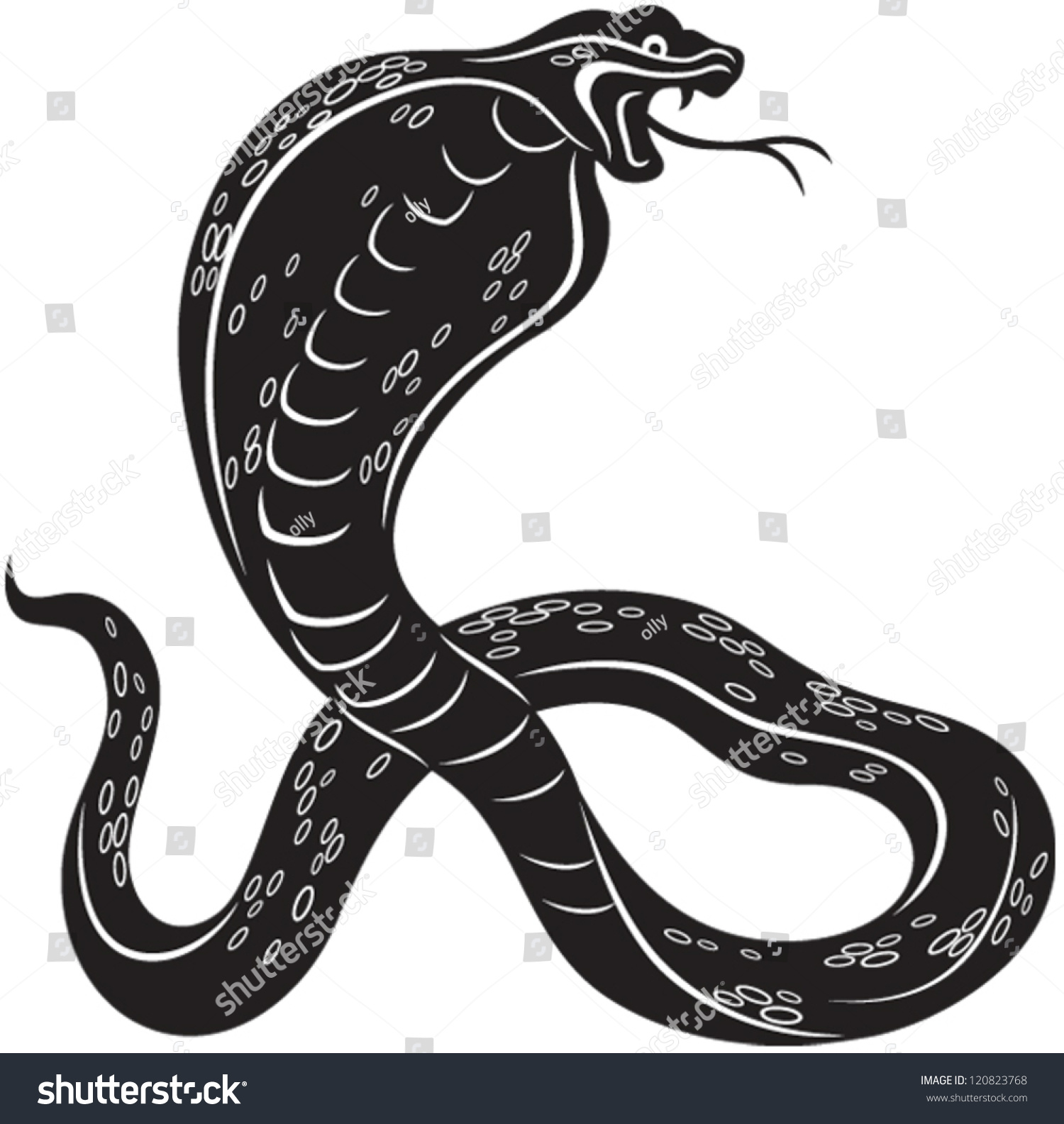 Vector Illustration Cobra Snake Black White Stock Vector 120823768 ...