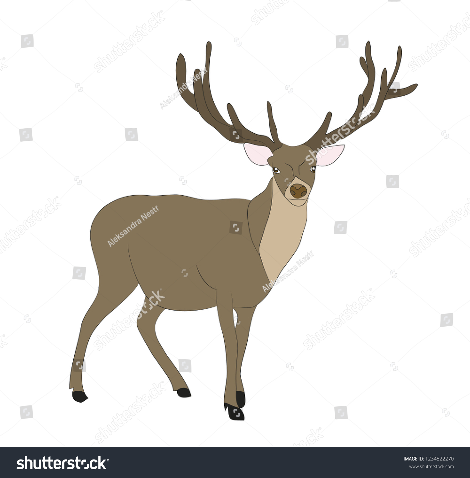 Vector Illustration Deer That Stands Vector Stock Vector (Royalty Free ...