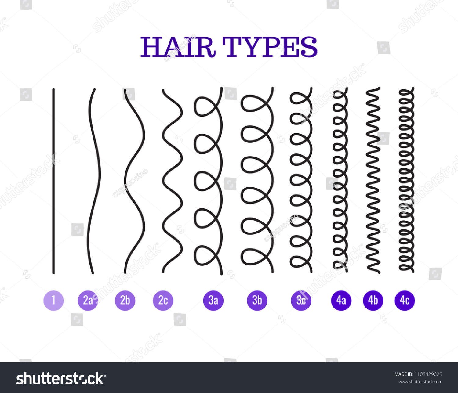 Vector Illustration Hair Types Chart Displaying Stock Vector