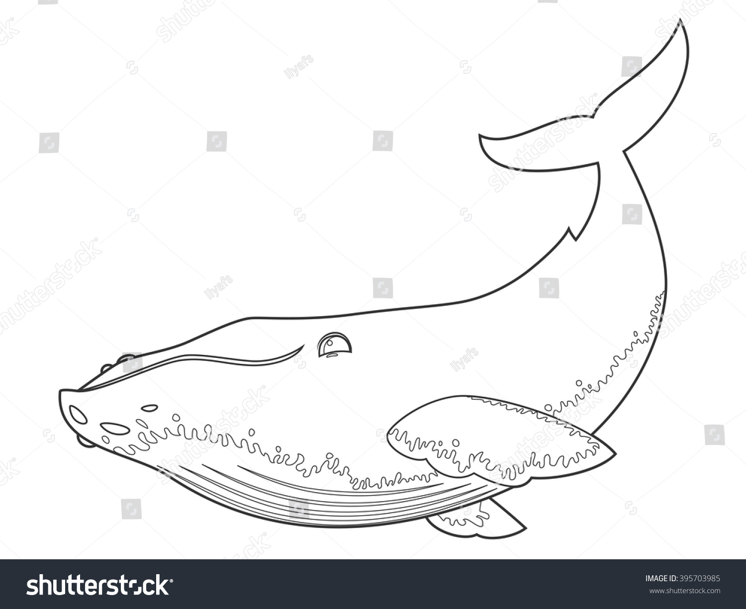 vector illustration of a humpback whale on white background with black outline for kids and coloring - Whale Outline vector illustration of a humpback whale on white background with black outline for kids and coloring - Whale Outline
