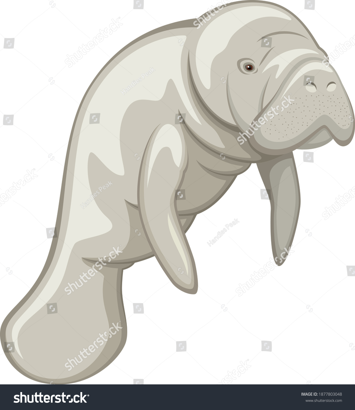 SVG of Vector illustration of a manatee against a white background. svg