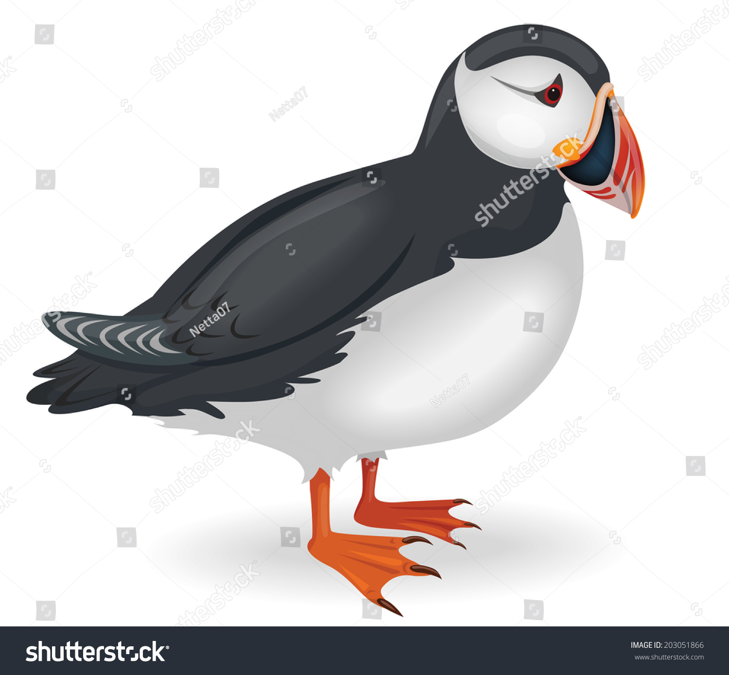 SVG of Vector illustration of a puffin svg