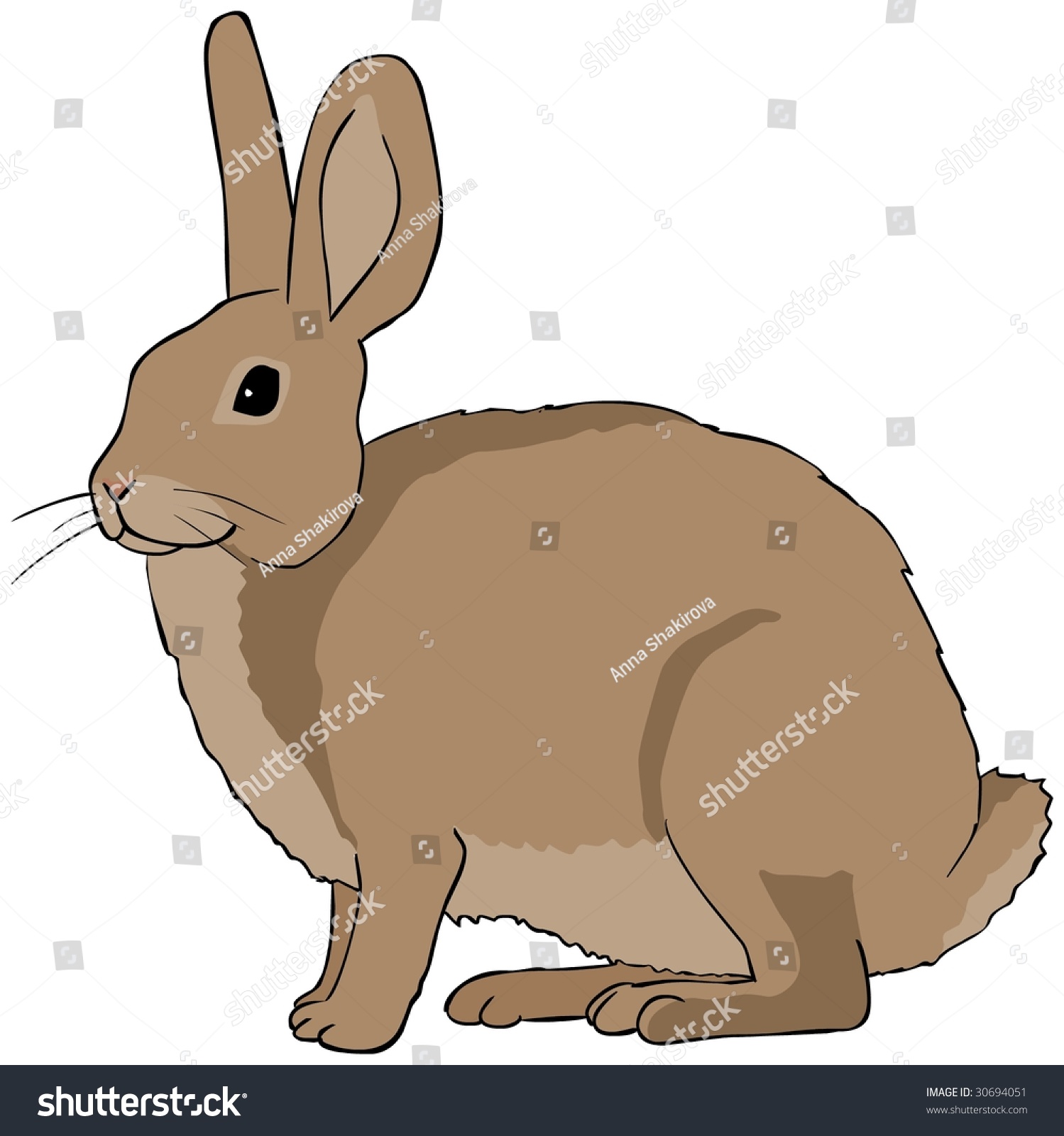 Vector Illustration Rabbit Hare Vector Stock Vector 30694051 - Shutterstock