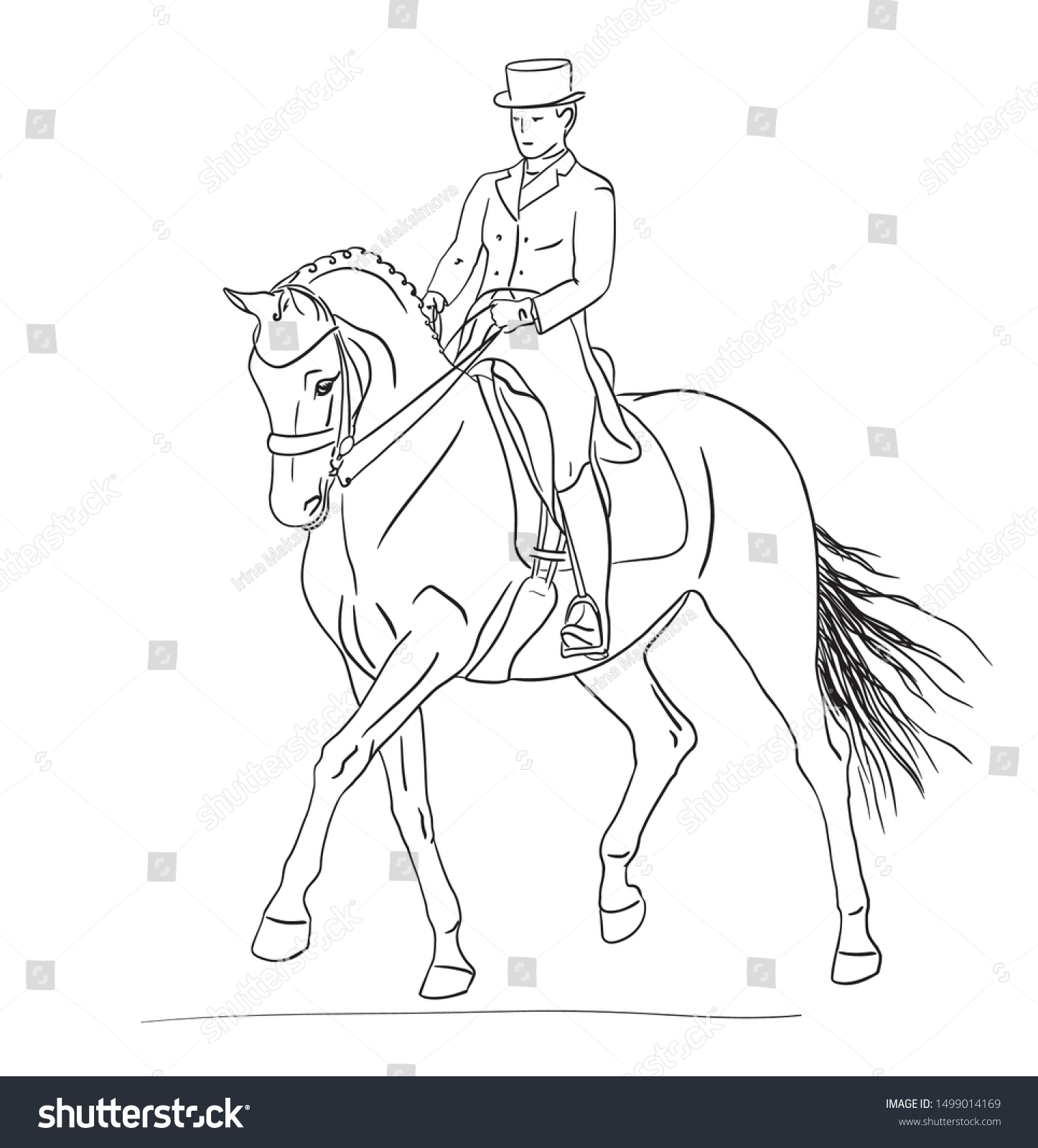 Vector Illustration Rider Horse Execute Passage Stock Vector (Royalty ...