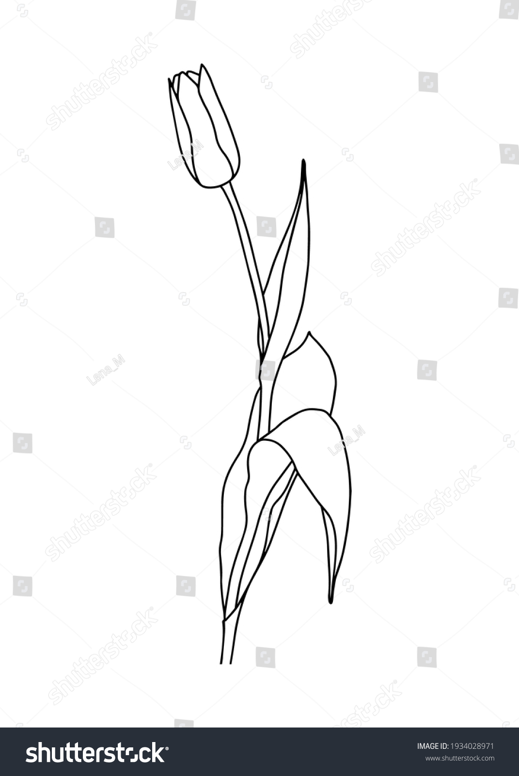 54,729 Hand drawn tulips Images, Stock Photos & Vectors | Shutterstock