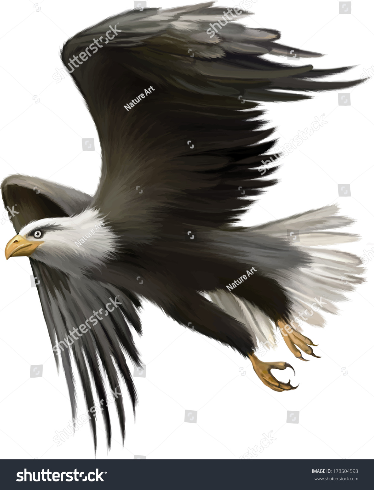 Vector Illustration American Bald Eagle Flight Stock Vector 178504598 ...