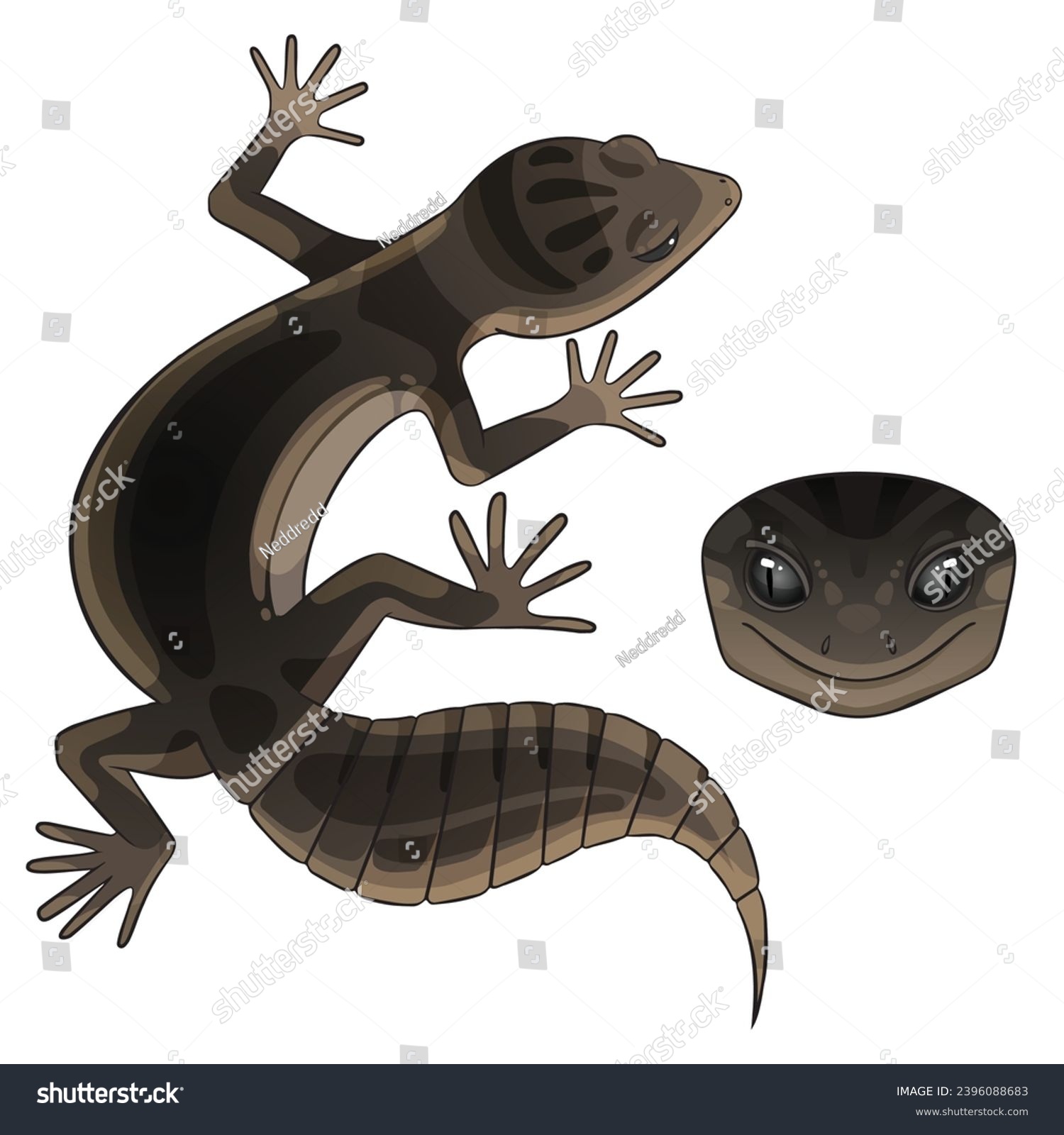 SVG of Vector illustration of an eublepharis Leopard gecko black night svg
